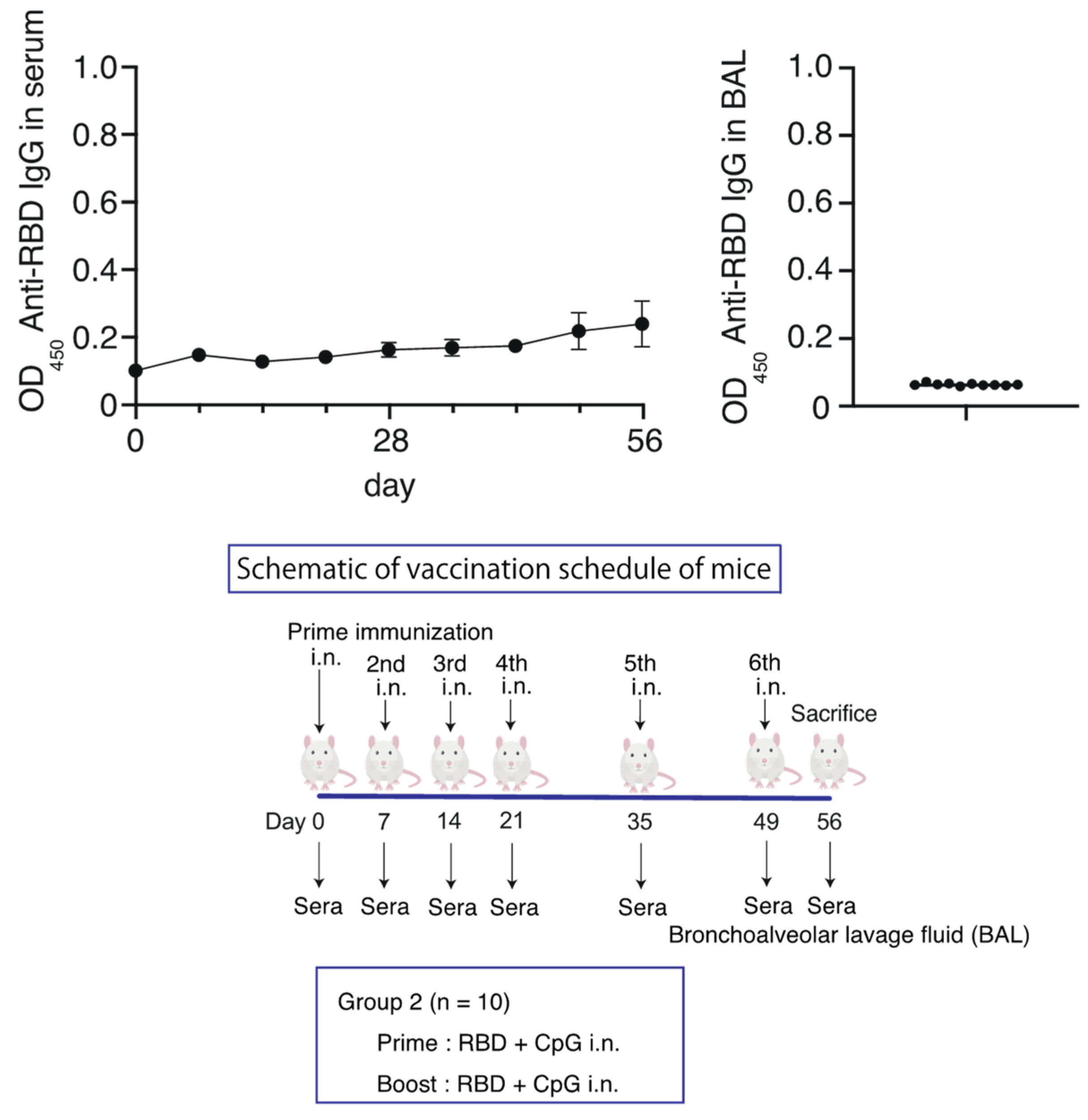 Vaccines 12 00005 g002