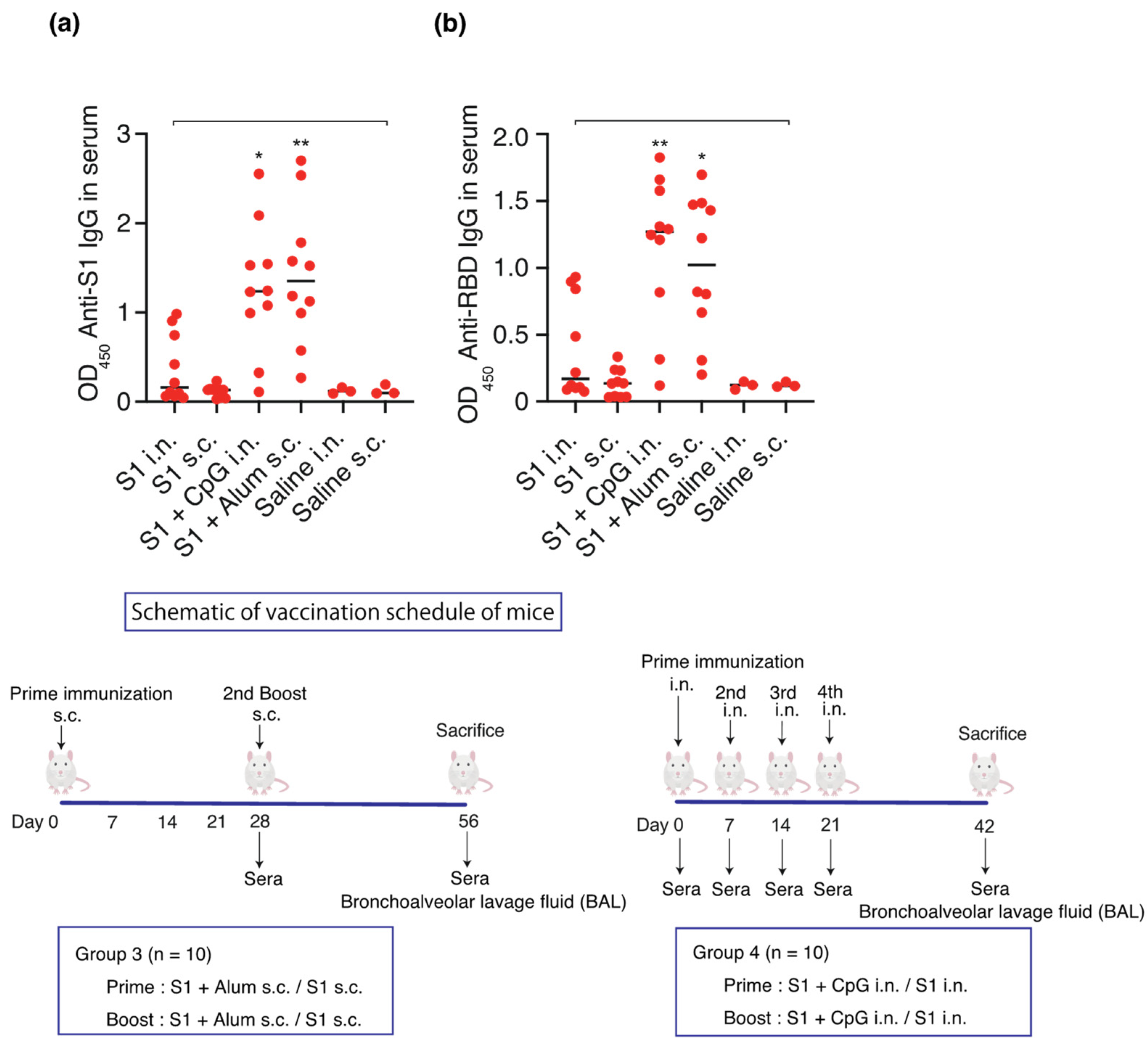 Vaccines 12 00005 g003