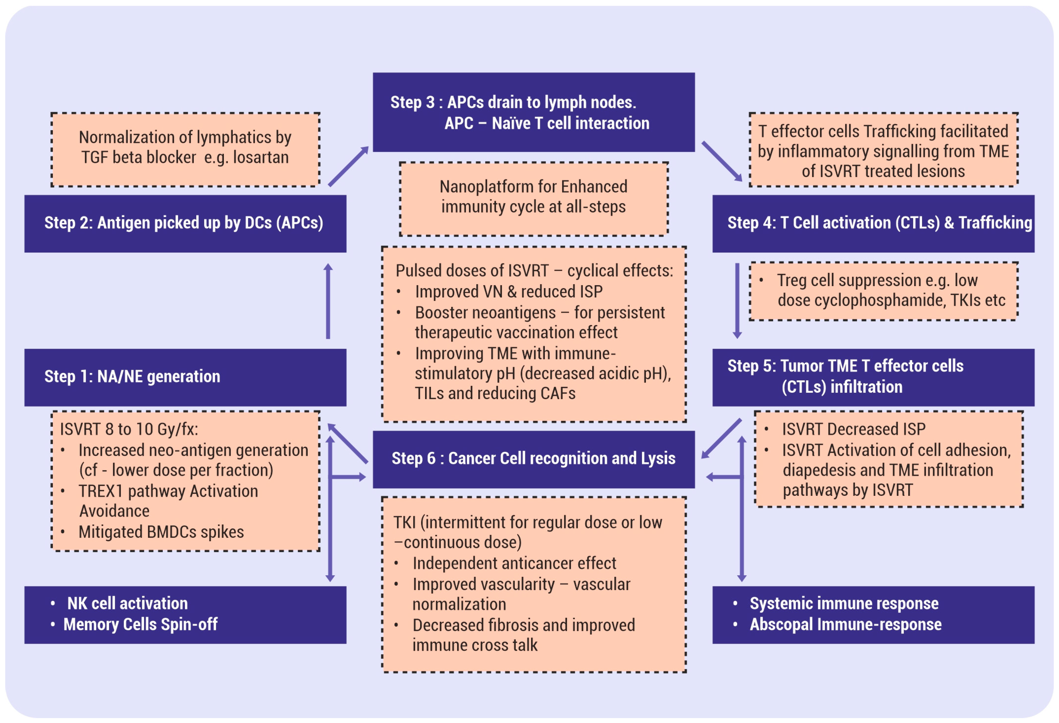 Vaccines 12 00007 g002 Vaccines 12 00007 g002