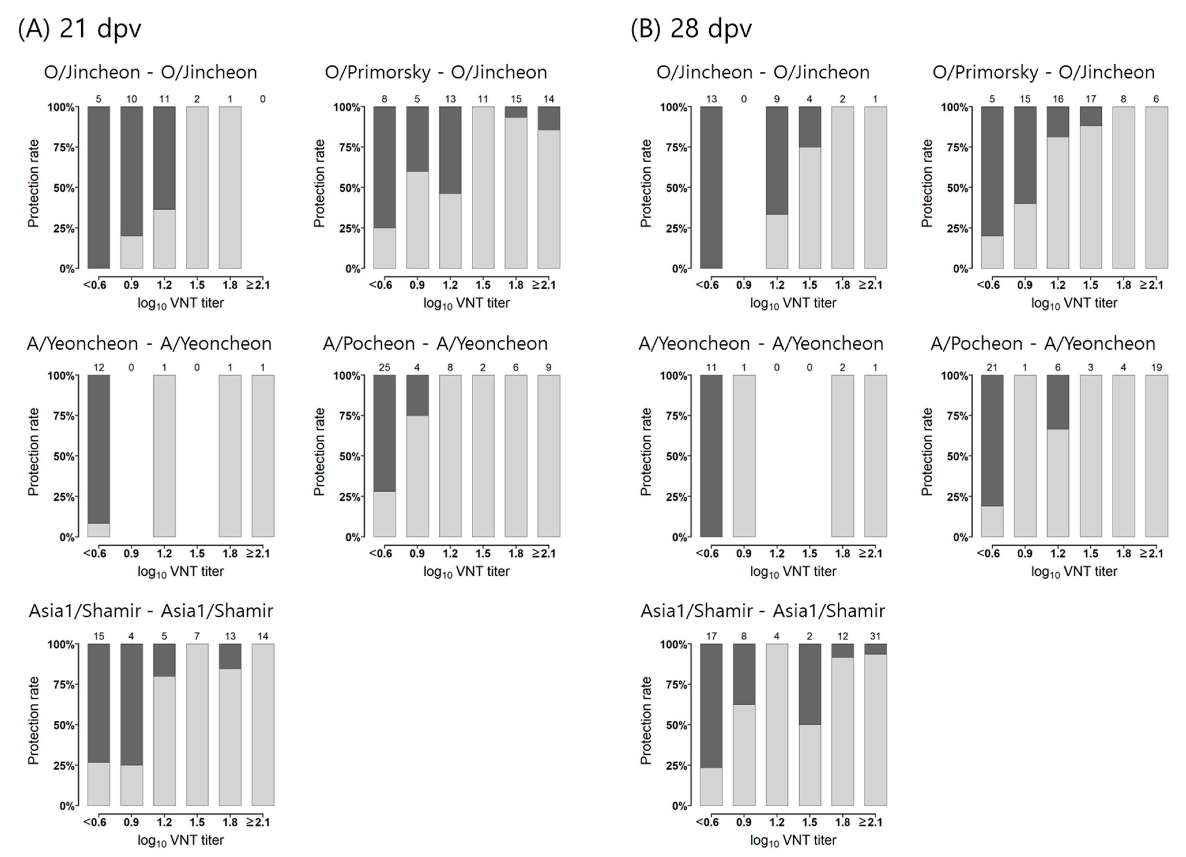 Vaccines 12 00010 g001