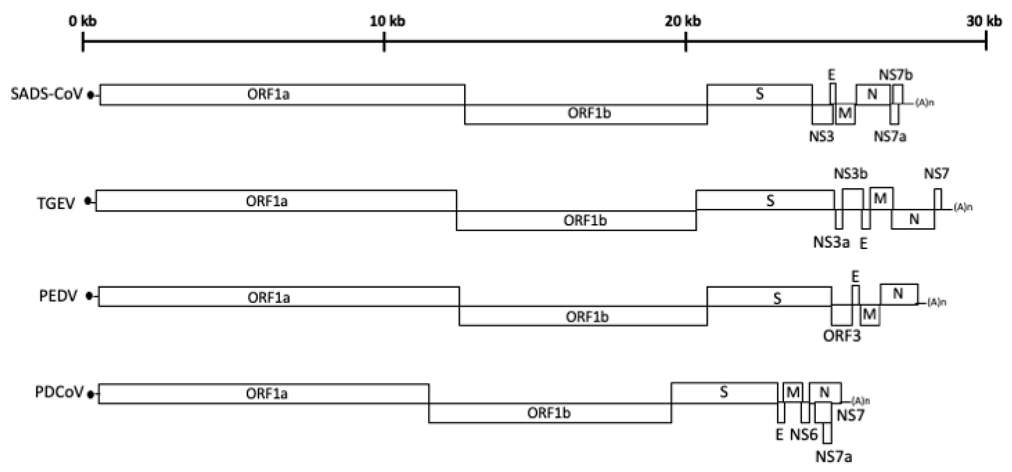 Vaccines 12 00011 g001