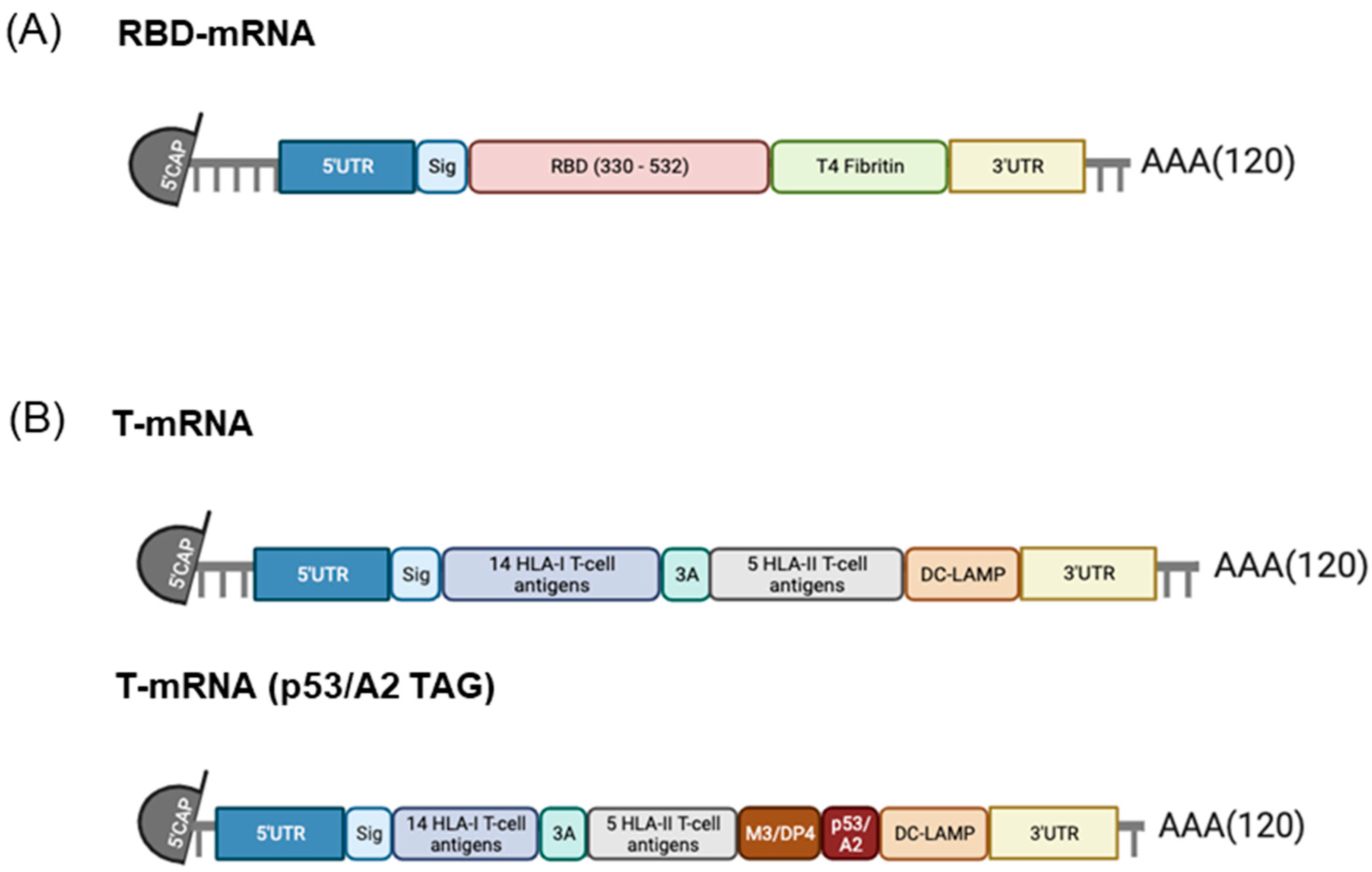 Vaccines 12 00015 sch001