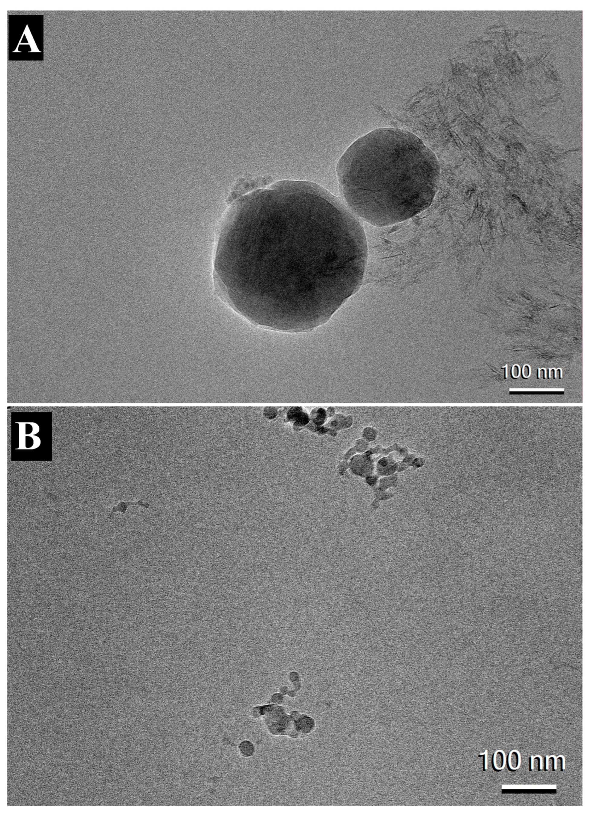 Vaccines 12 00021 g006