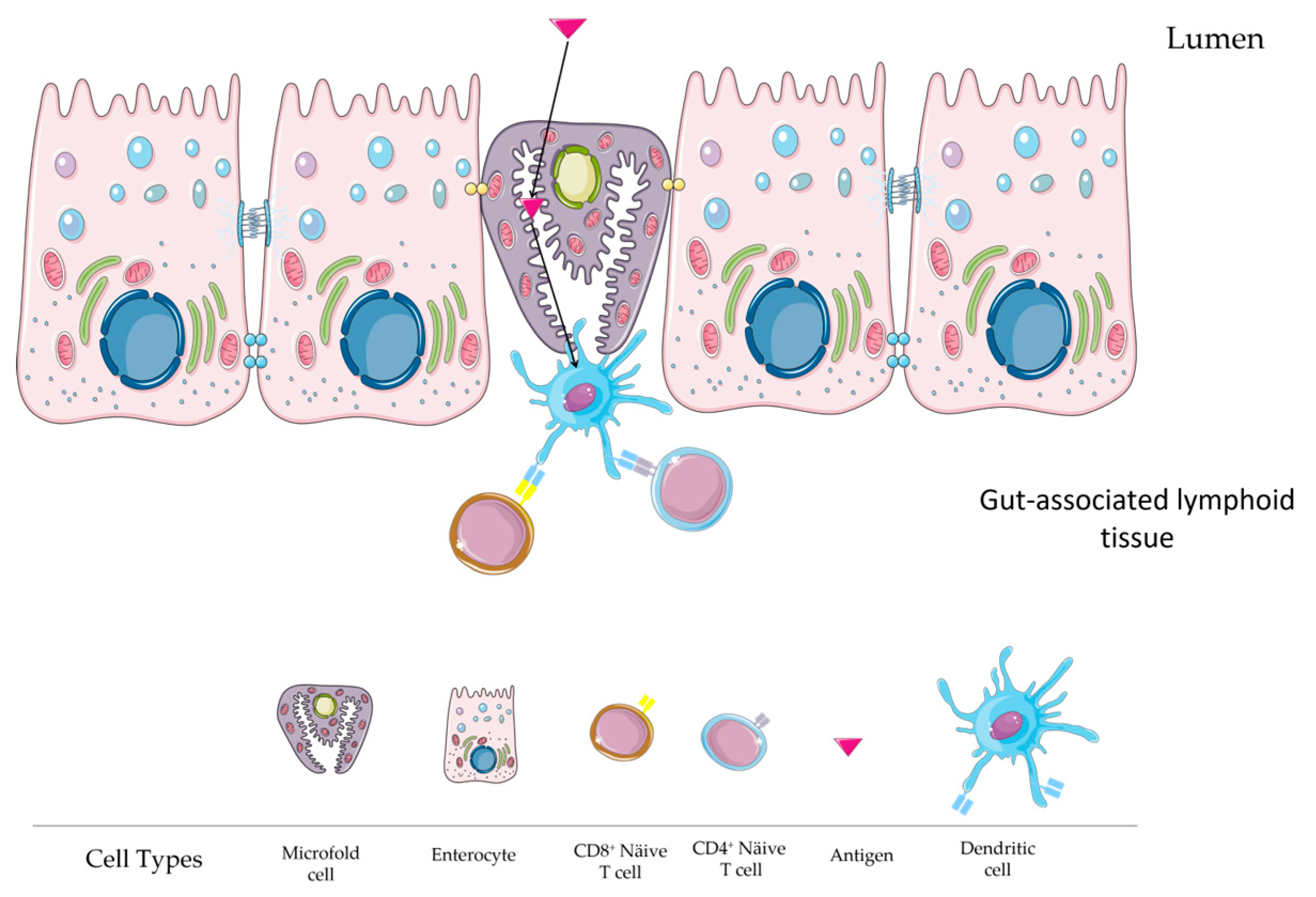 Vaccines 12 00026 g002