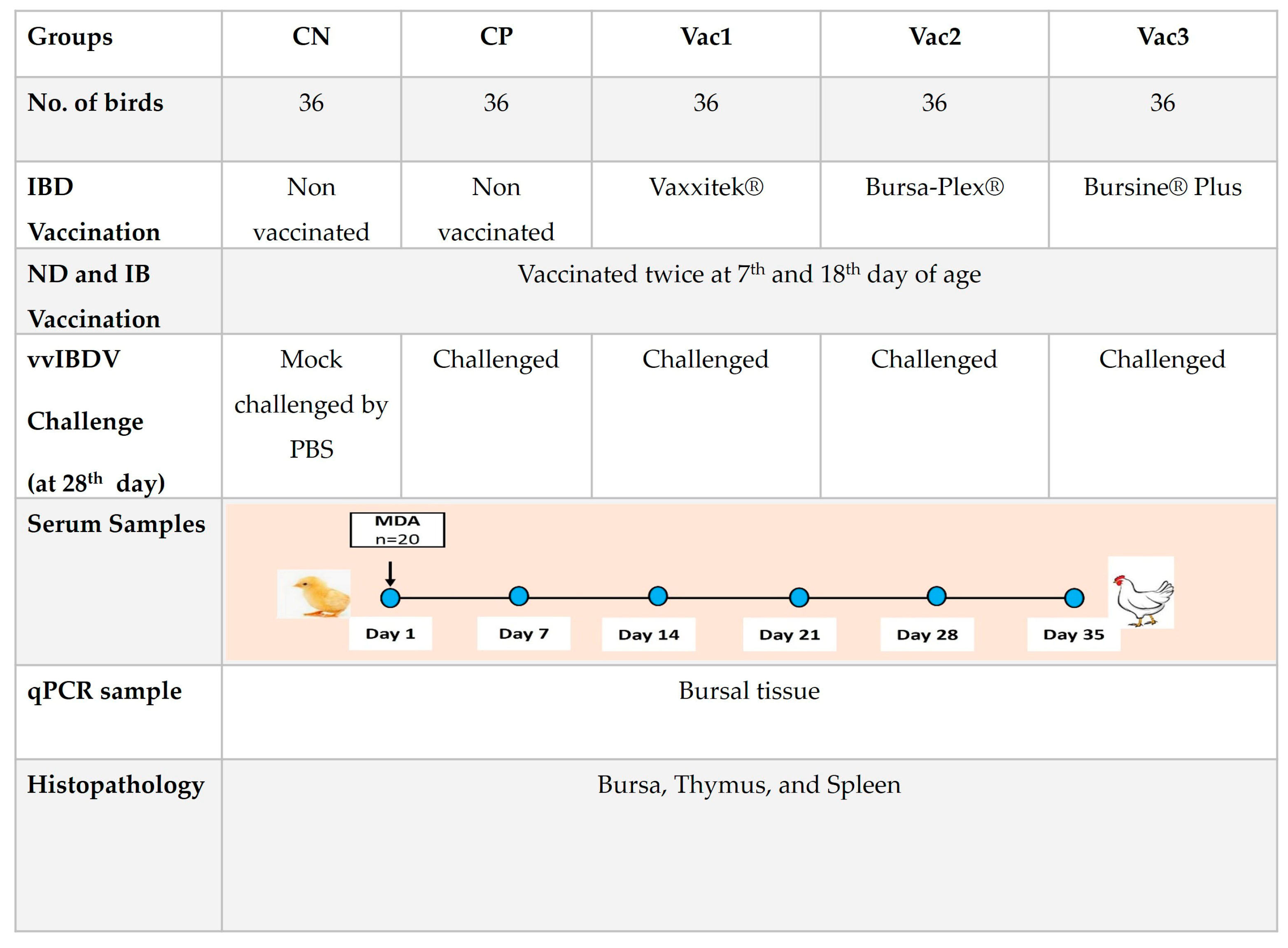 Vaccines 12 00027 g001 Vaccines 12 00027 g001
