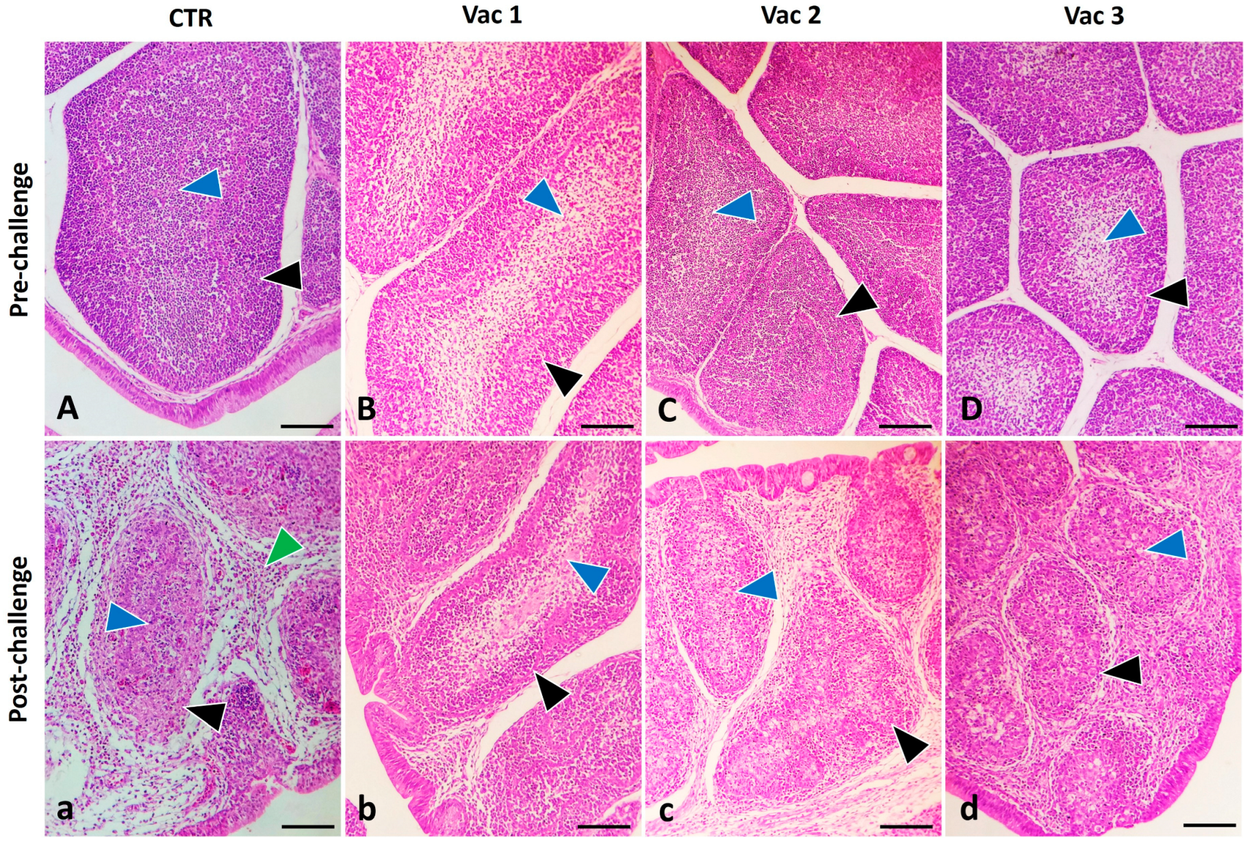 Vaccines 12 00027 g005 Vaccines 12 00027 g005