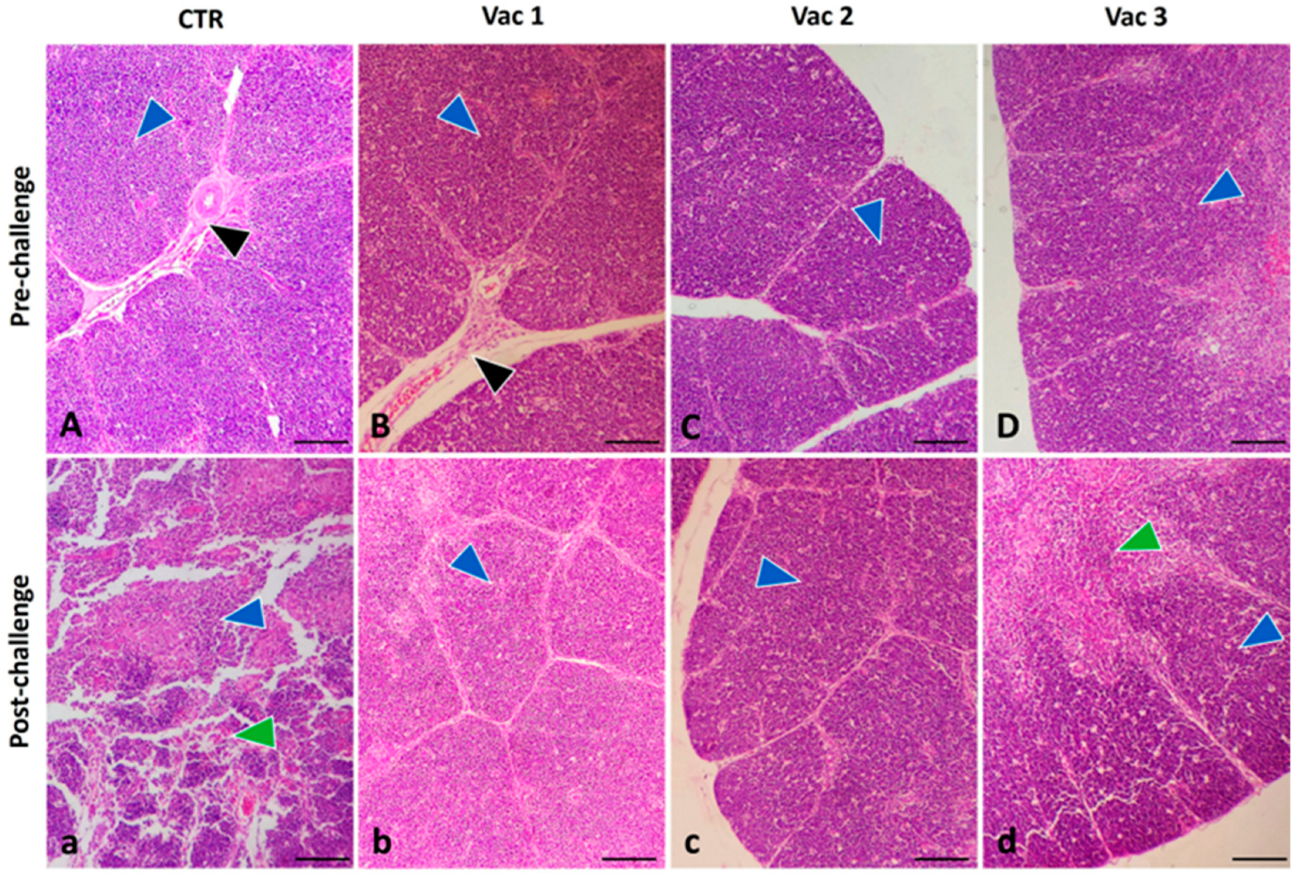 Vaccines 12 00027 g006 Vaccines 12 00027 g006