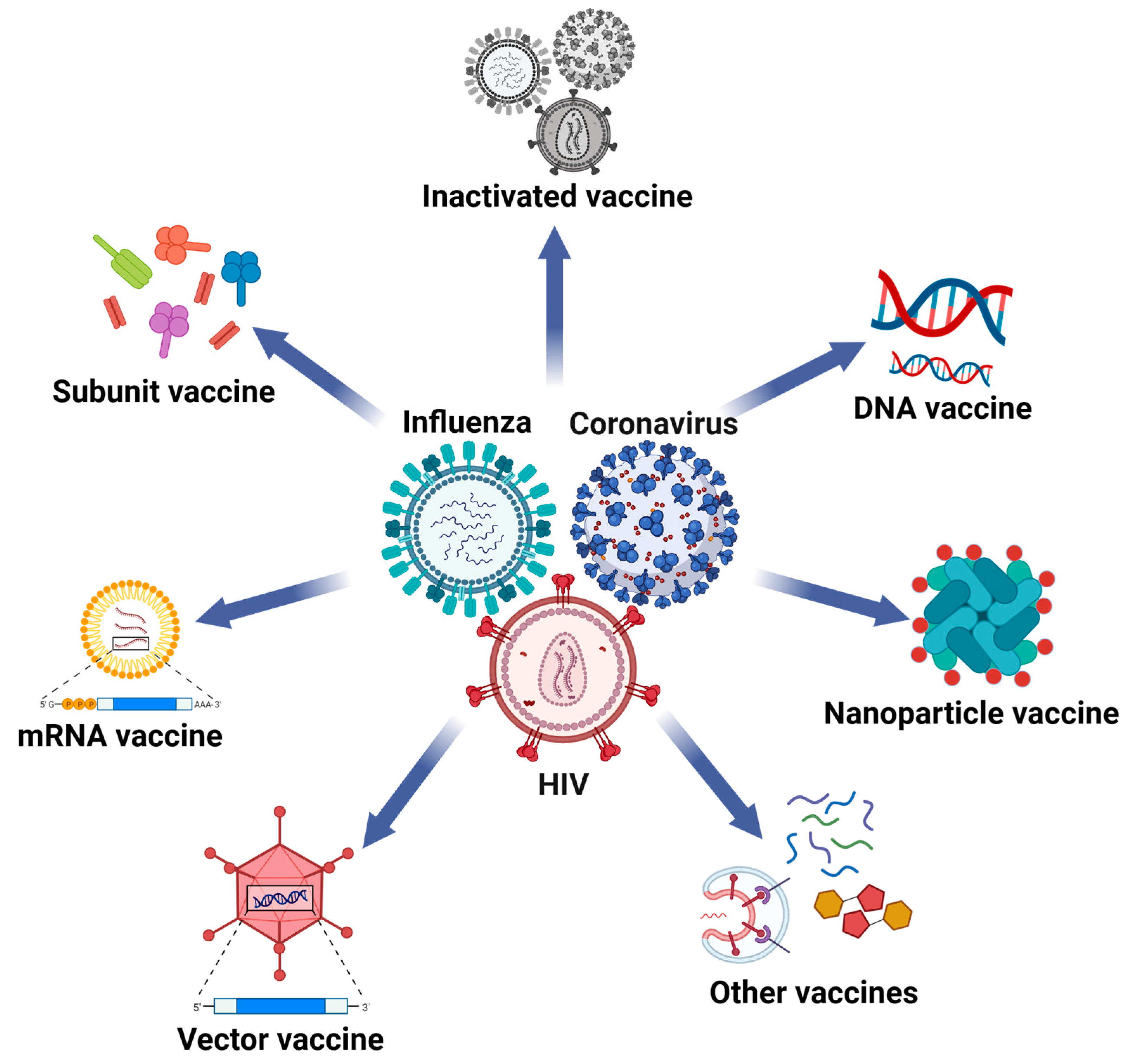 Vaccines 12 00030 g002