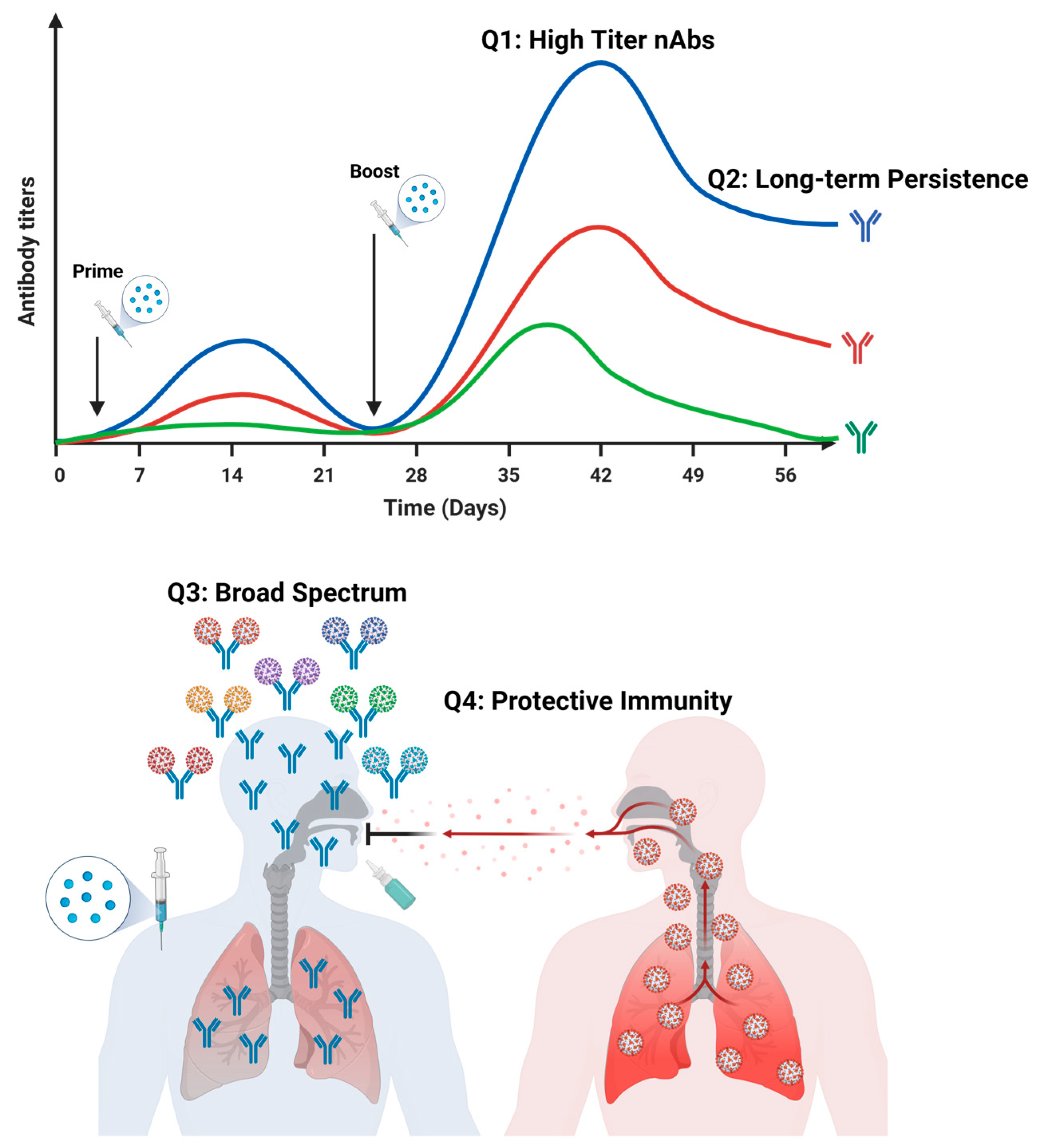 Vaccines 12 00030 g004