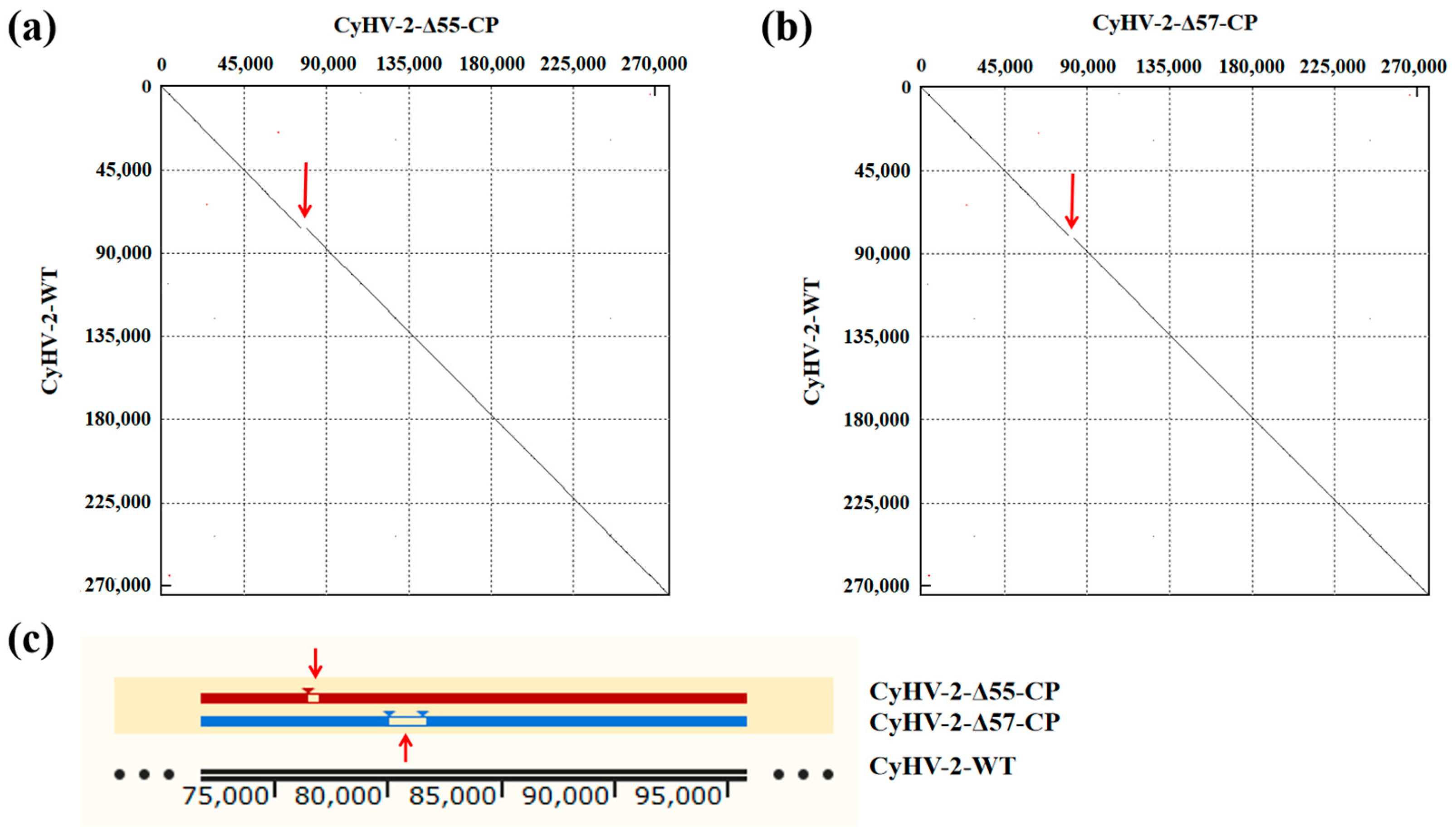 Vaccines 12 00043 g003