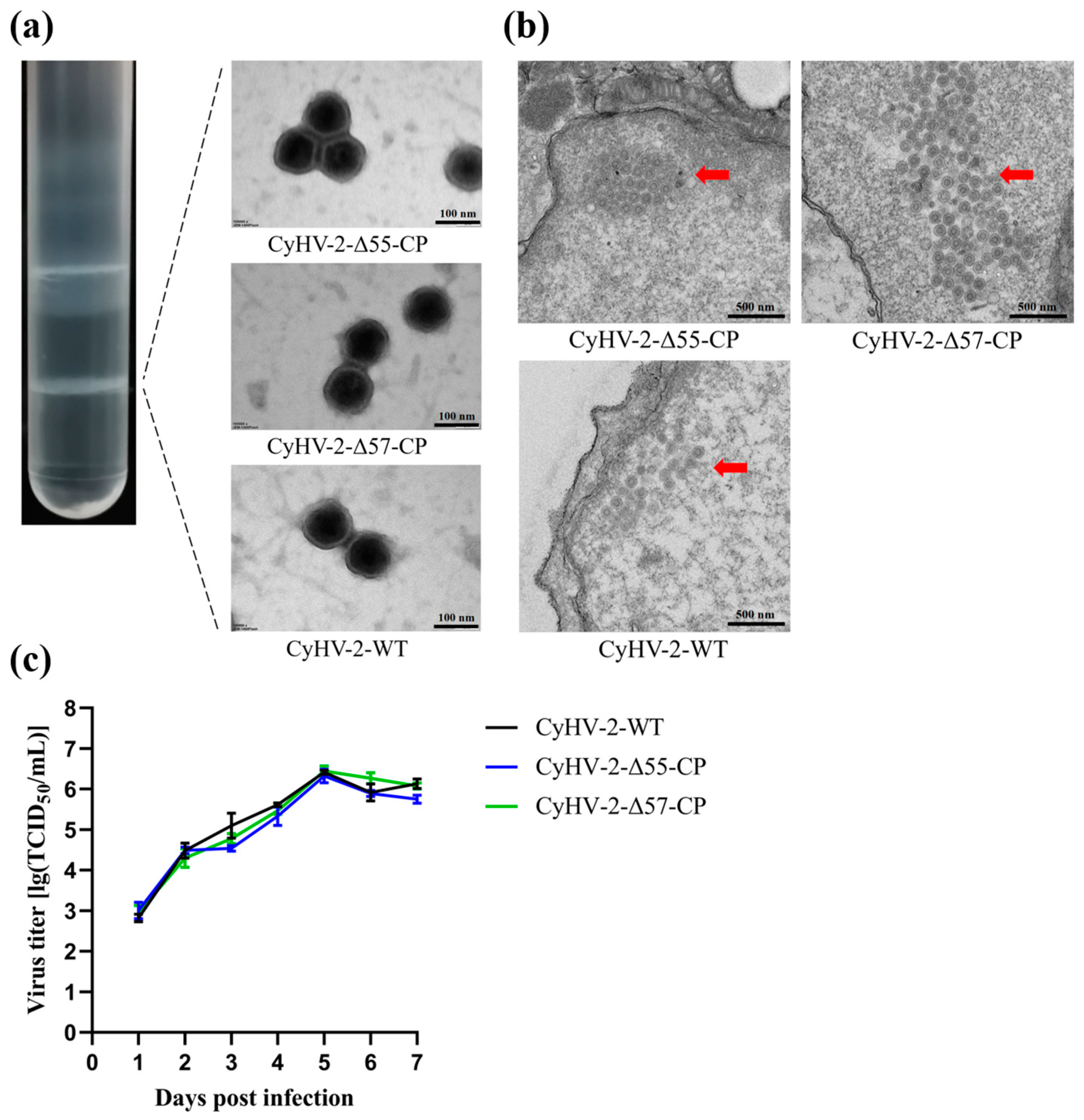 Vaccines 12 00043 g004