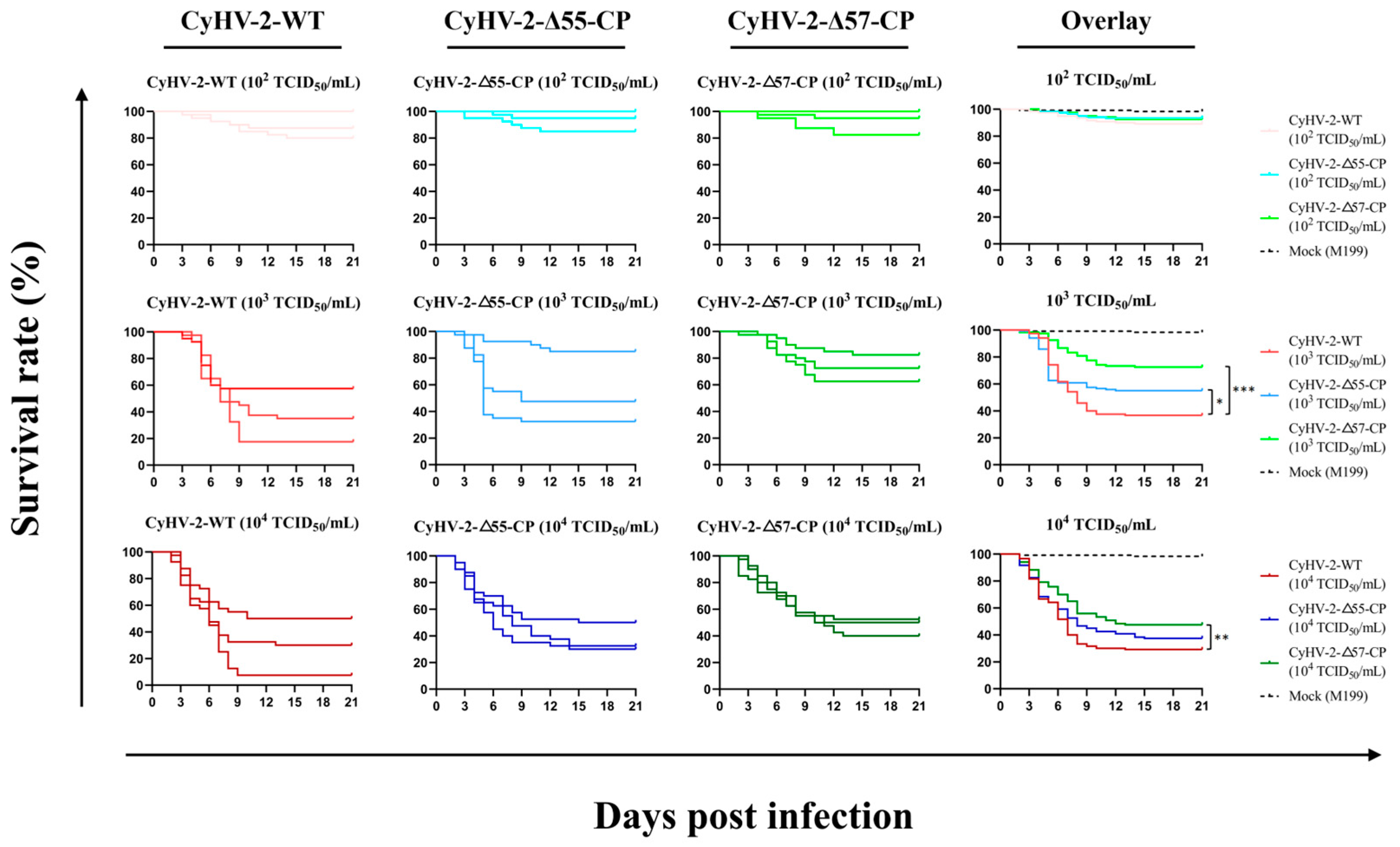 Vaccines 12 00043 g006