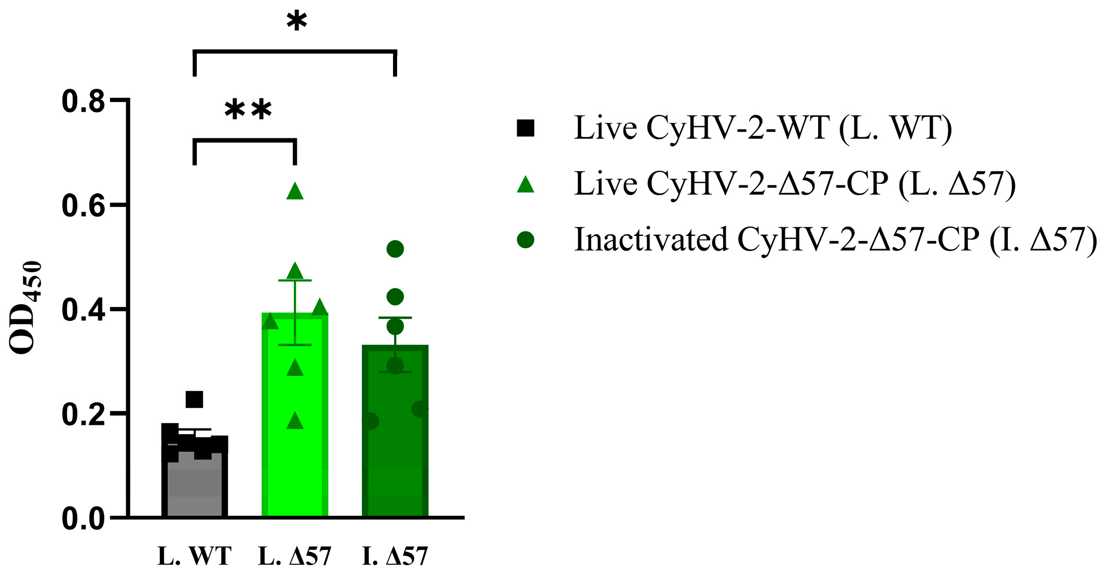Vaccines 12 00043 g008