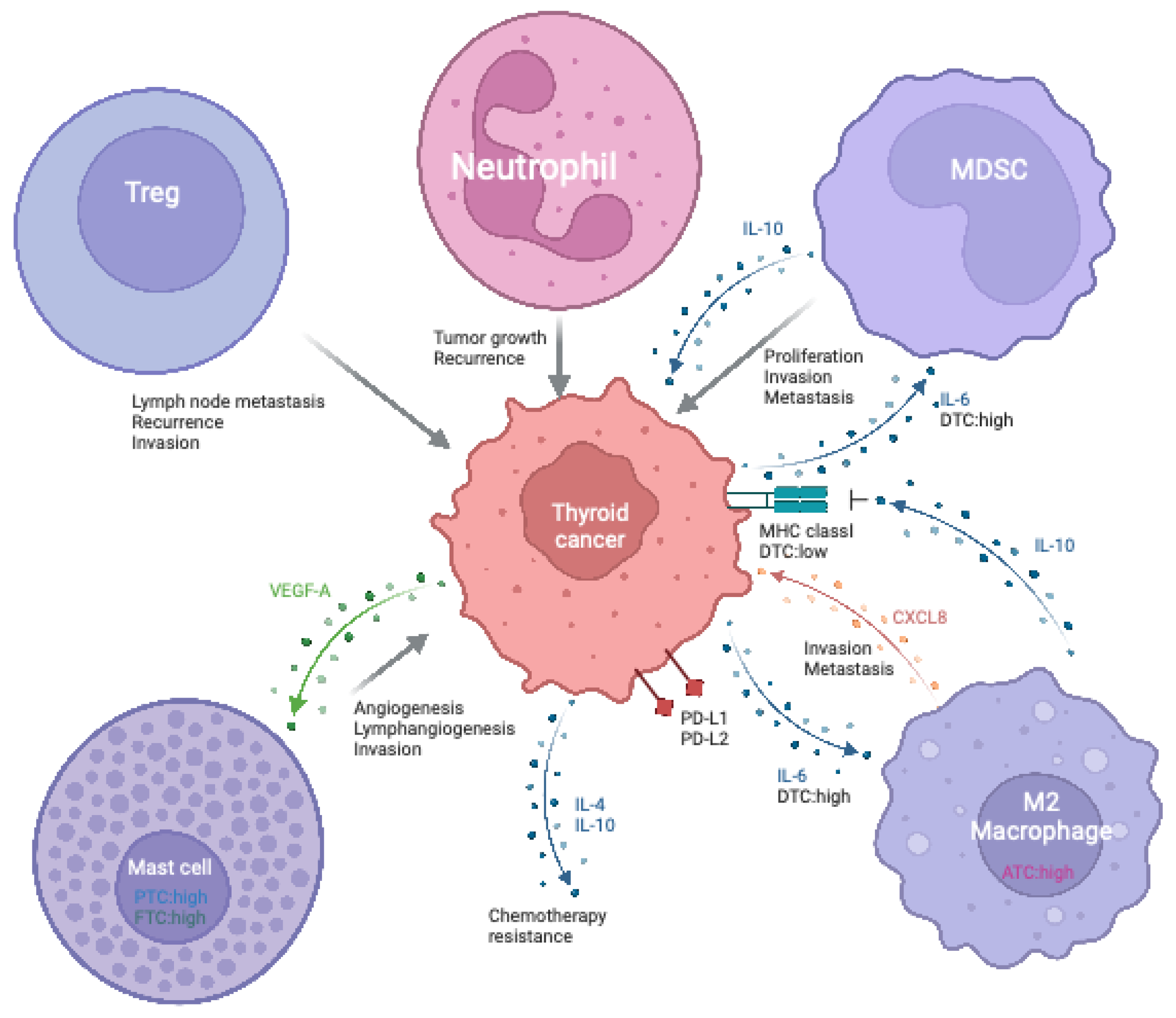Vaccines 12 00045 g002