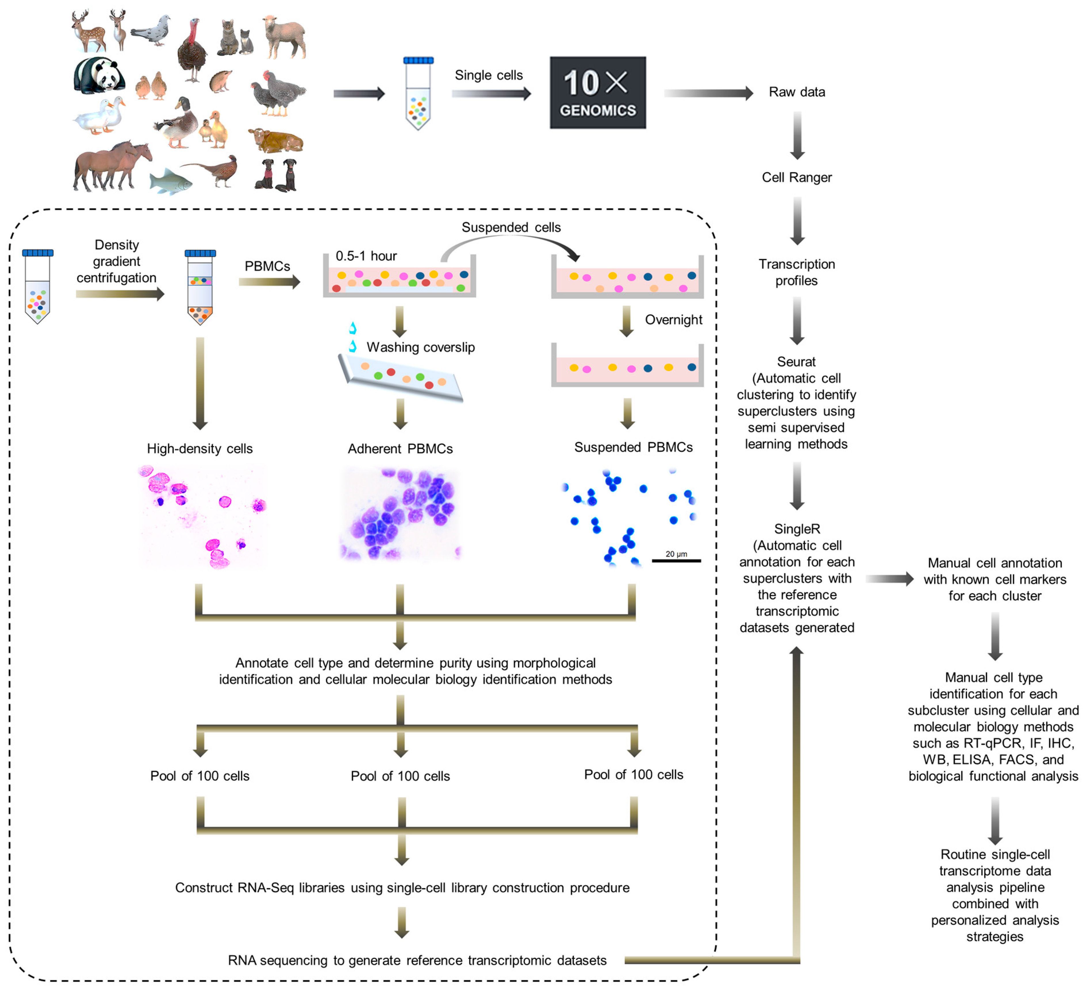 Vaccines 12 00048 g003