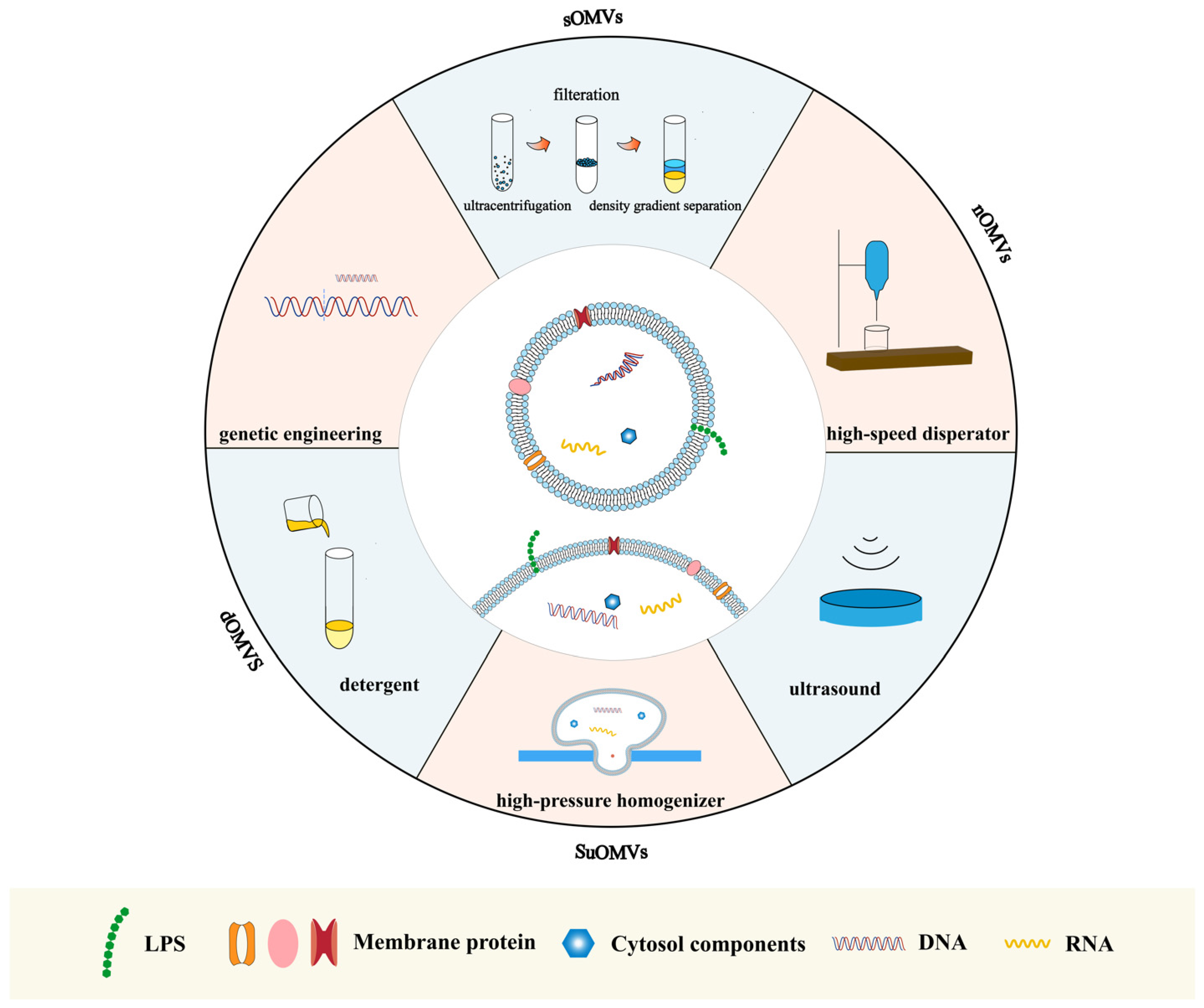 Vaccines 12 00049 g002