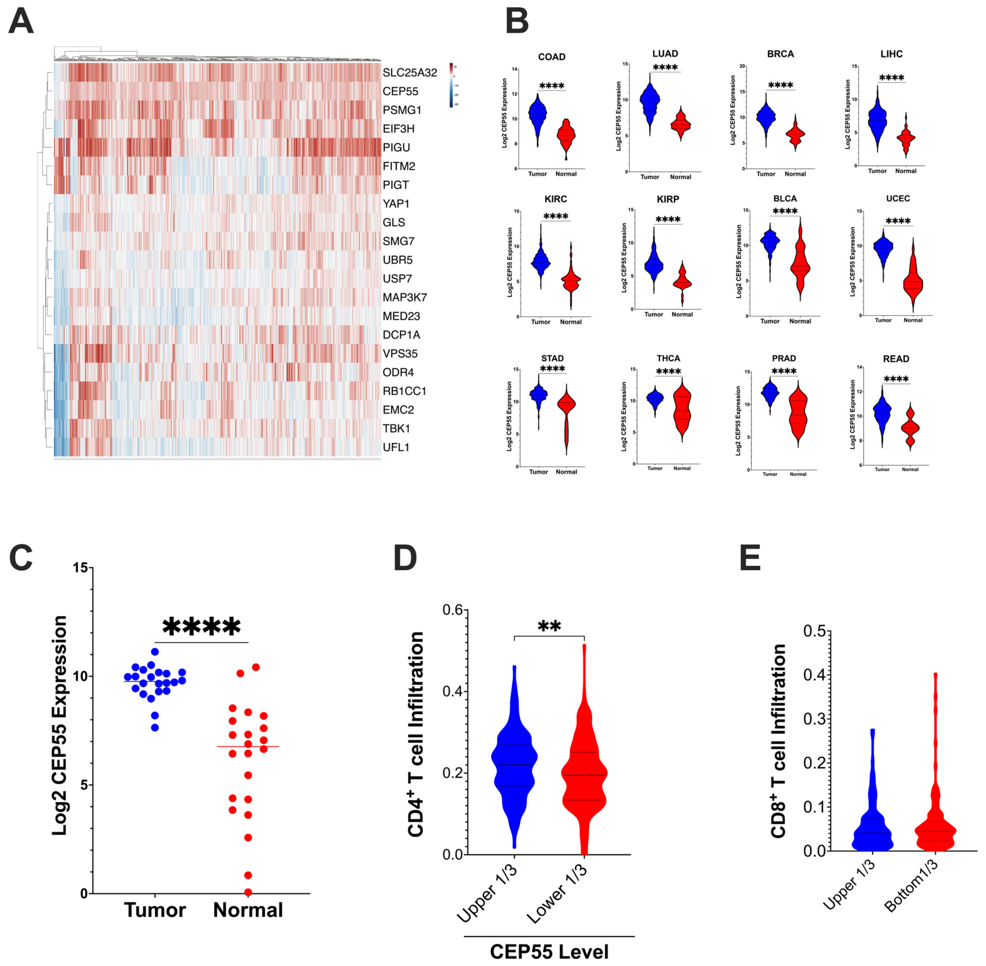 Vaccines 12 00063 g001