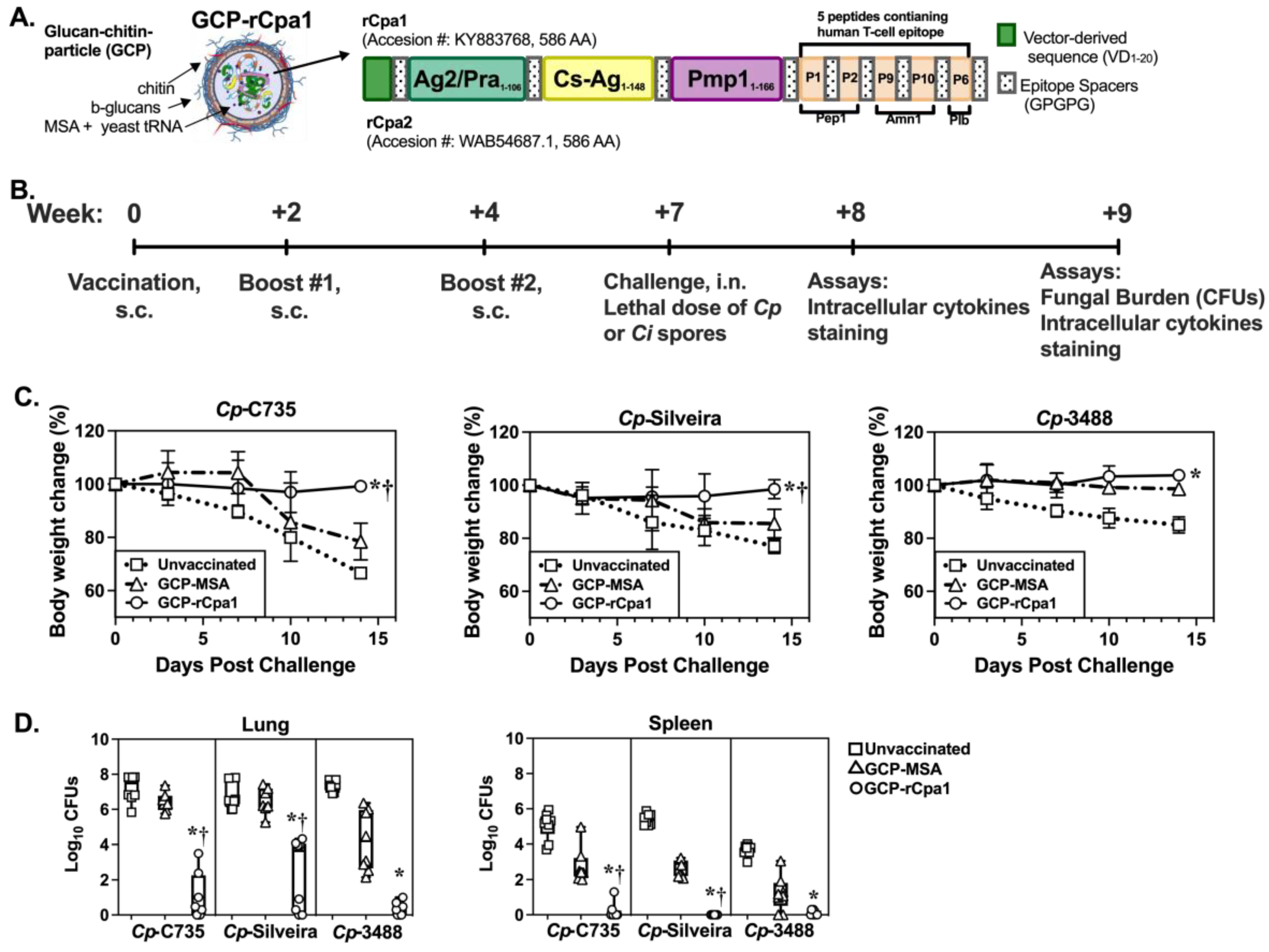 Vaccines 12 00067 g001