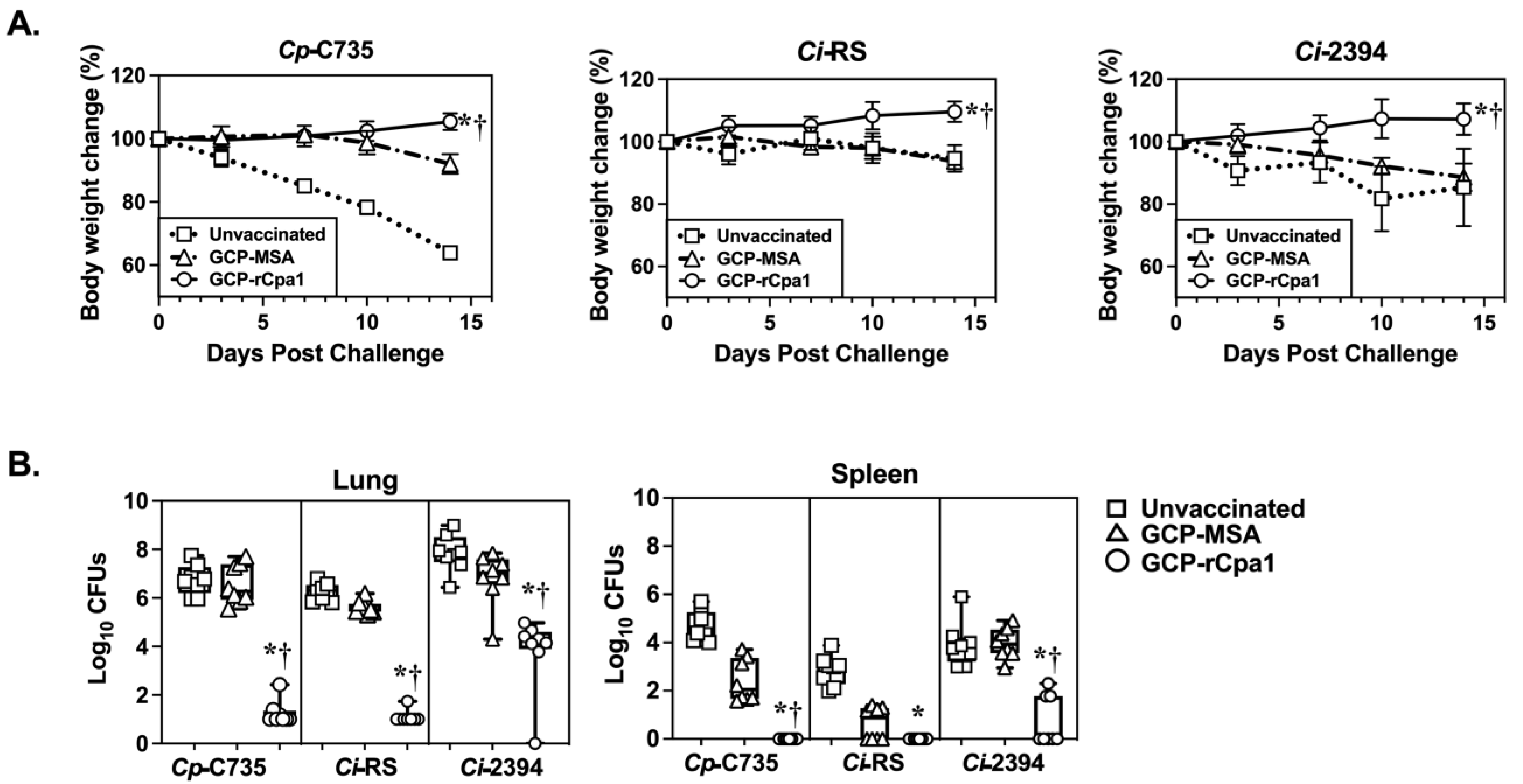 Vaccines 12 00067 g002
