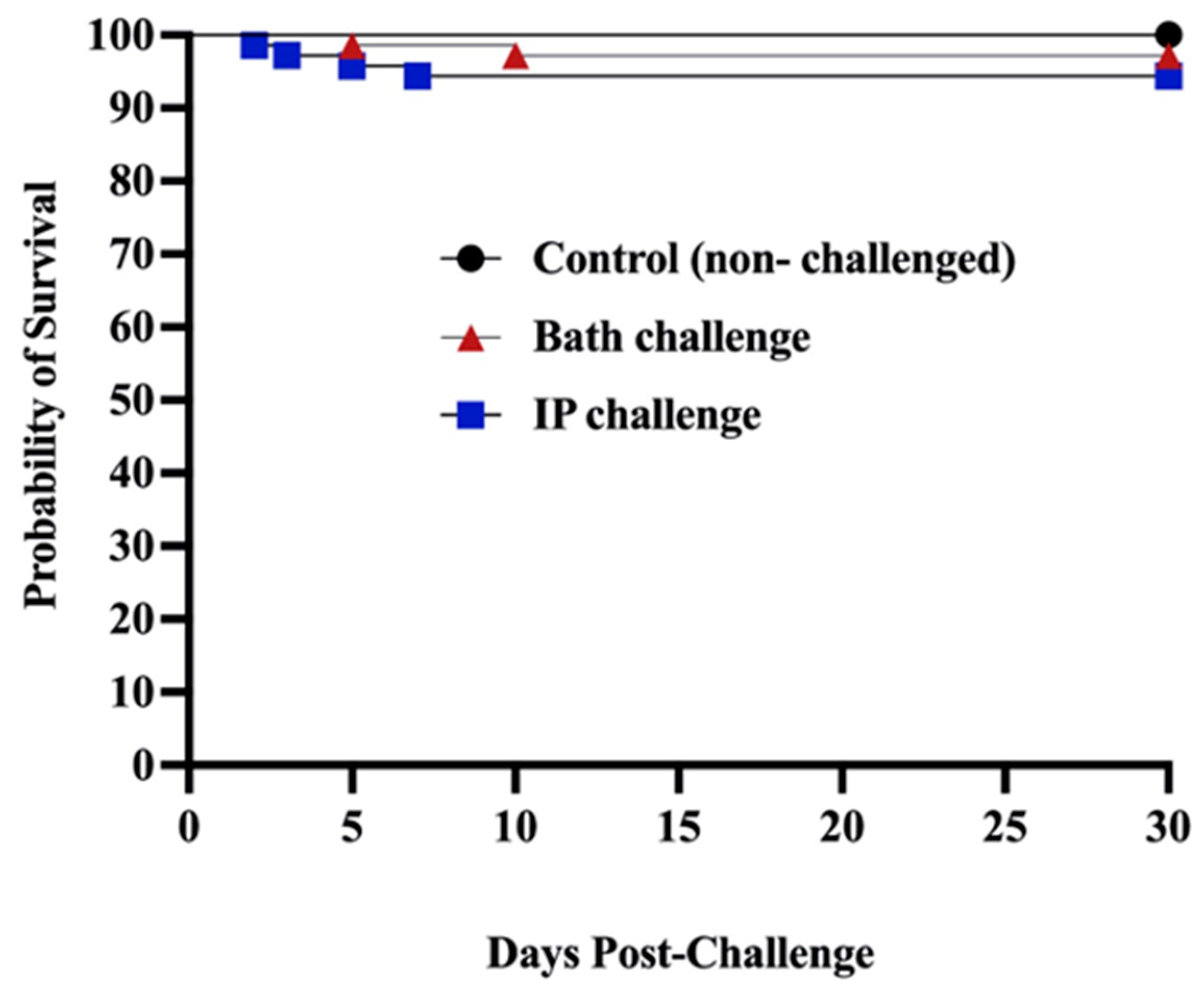 Vaccines 12 00070 g001