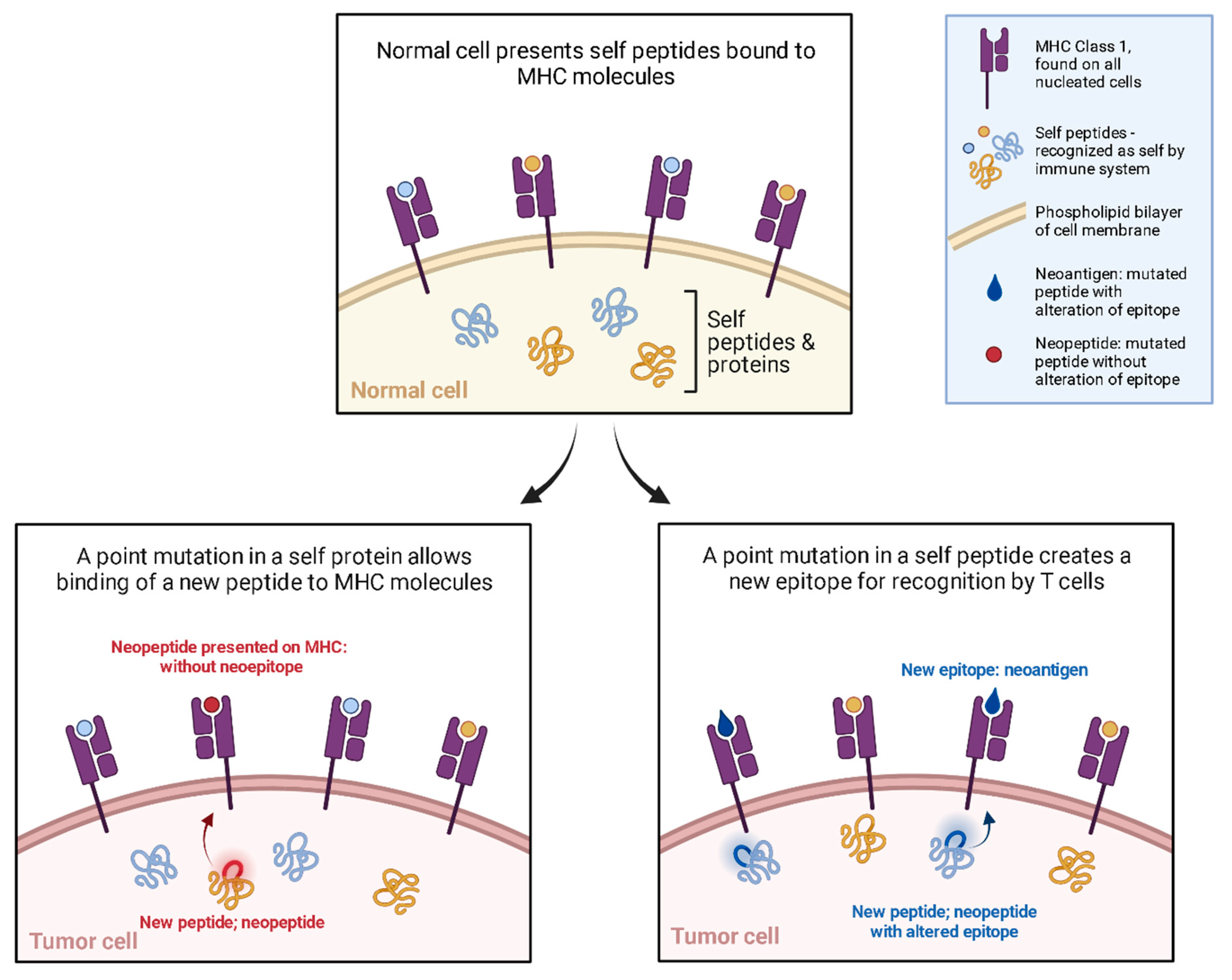 Vaccines 12 00071 g003 Vaccines 12 00071 g003