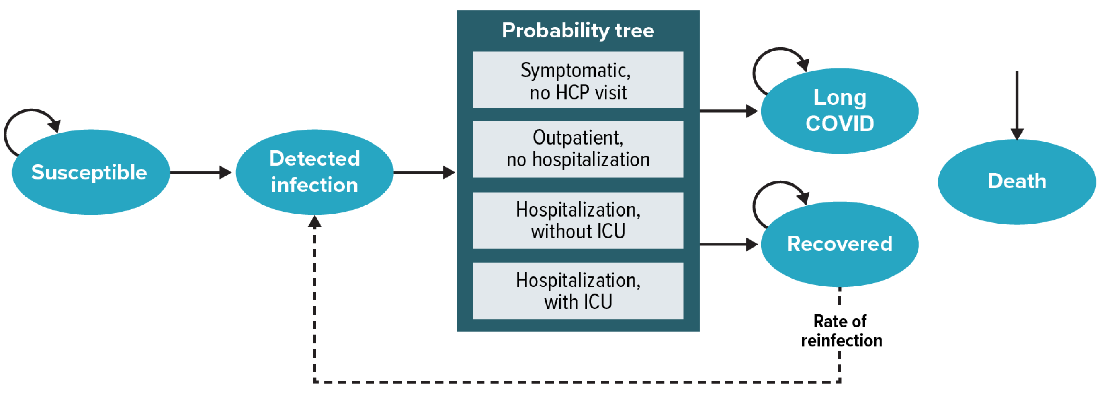 Vaccines 12 00074 g001