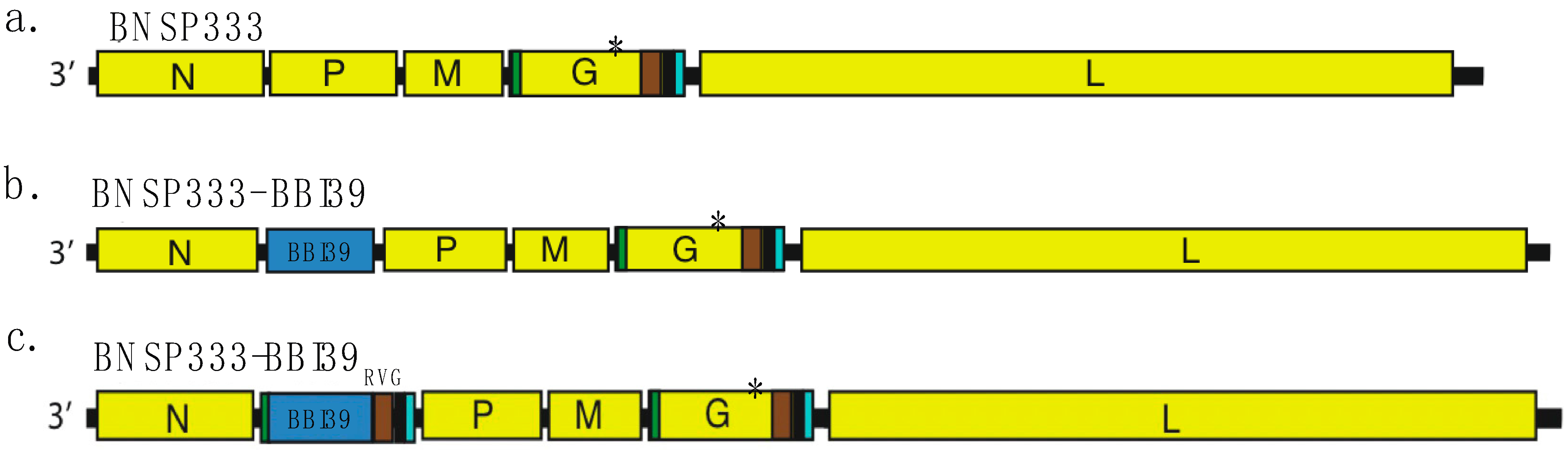 Vaccines 12 00078 g001