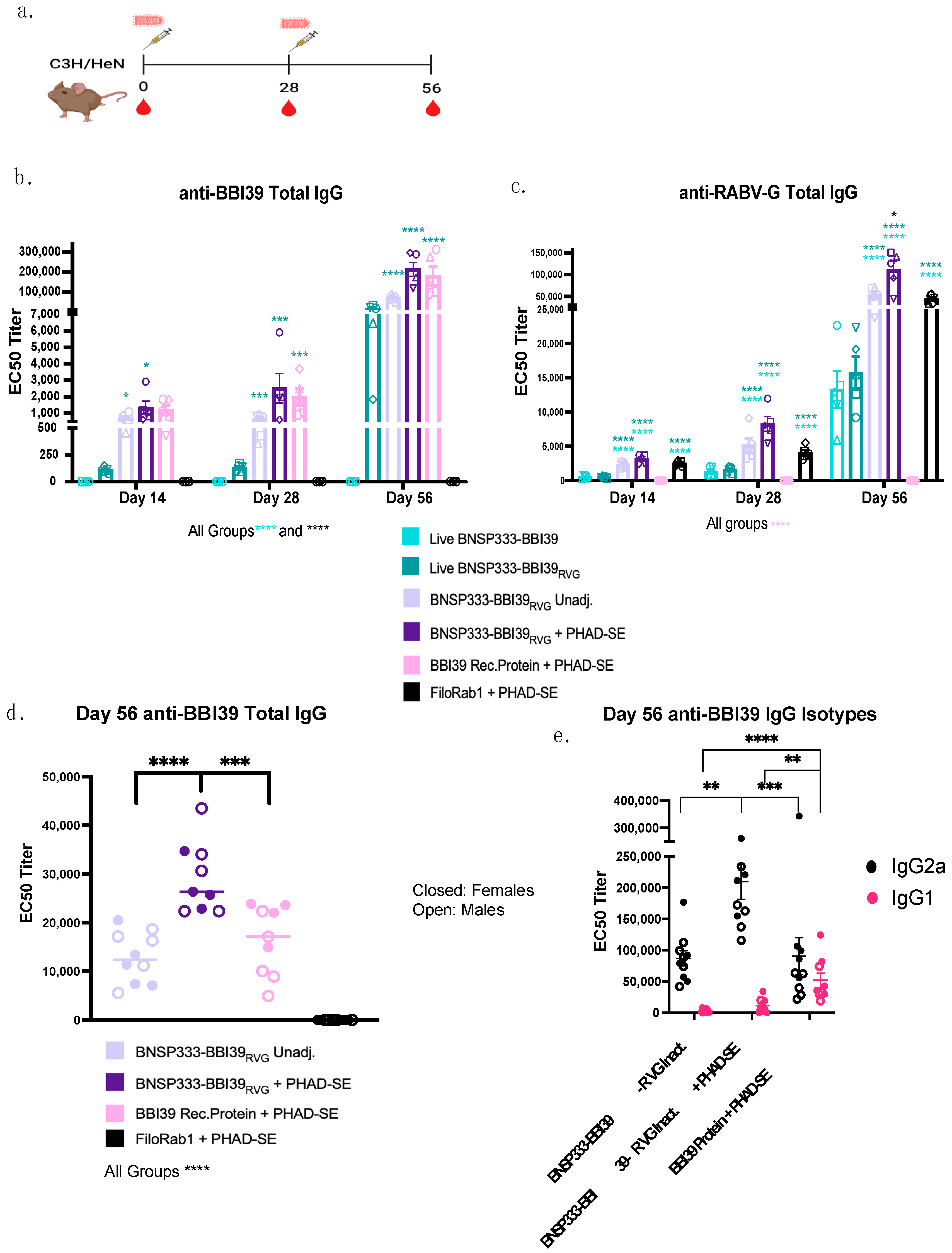 Vaccines 12 00078 g003