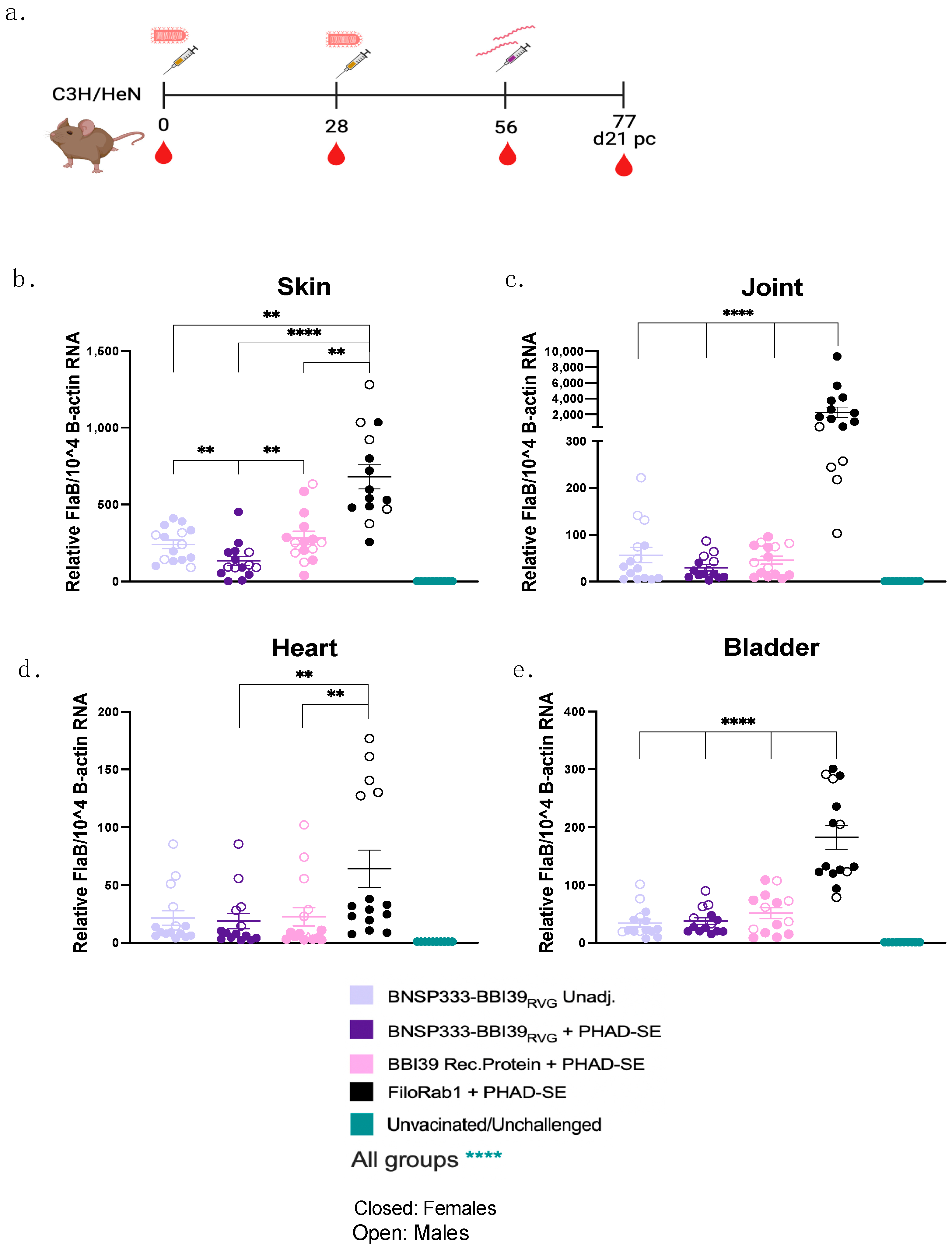 Vaccines 12 00078 g005