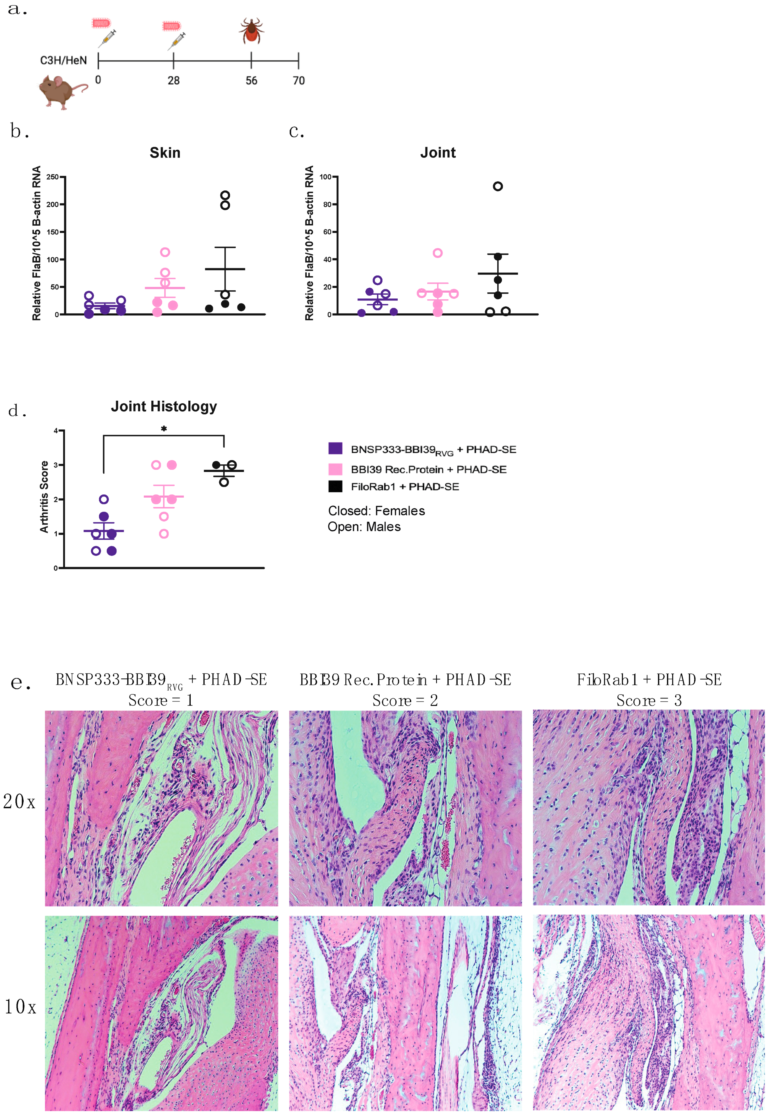 Vaccines 12 00078 g006
