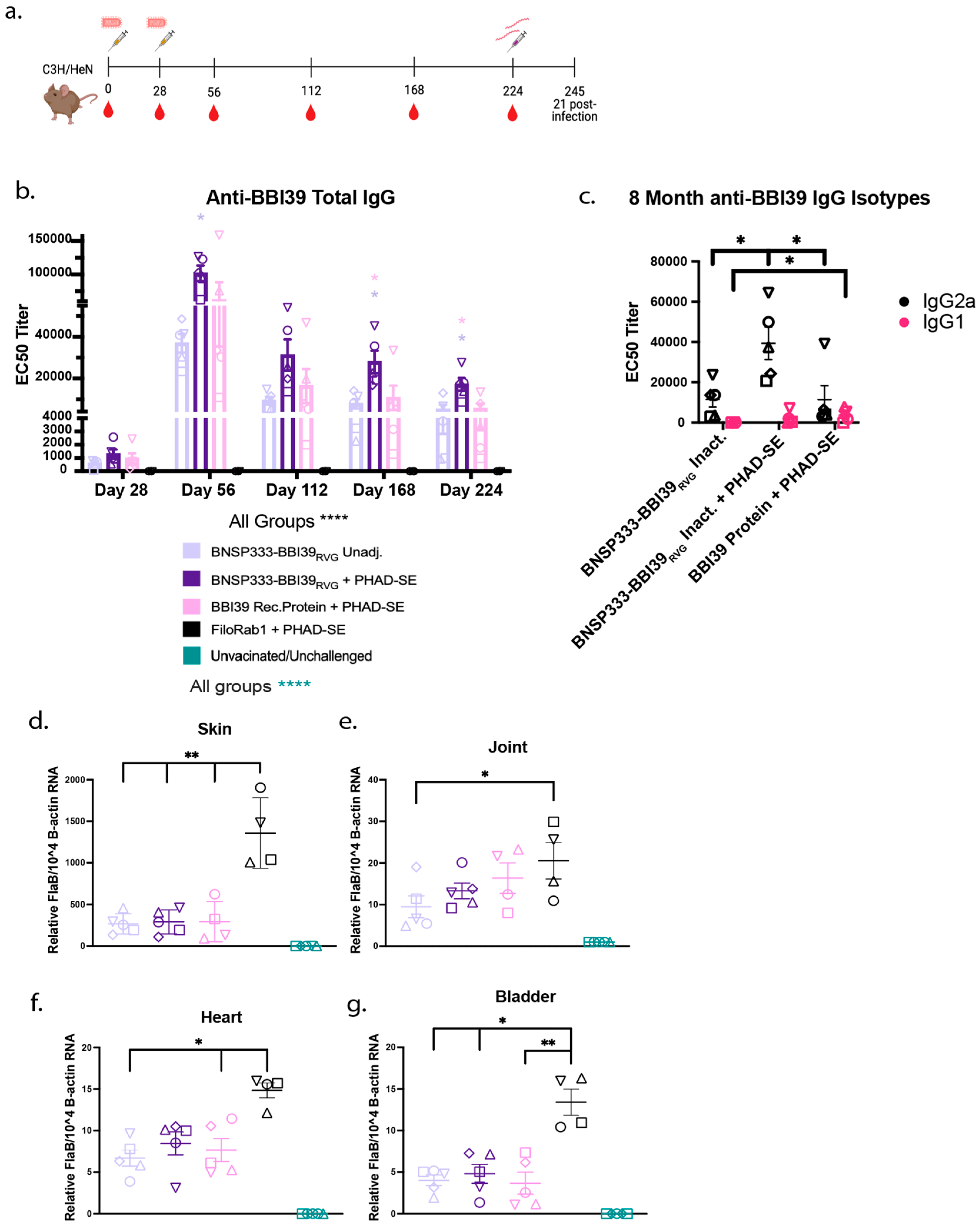 Vaccines 12 00078 g007