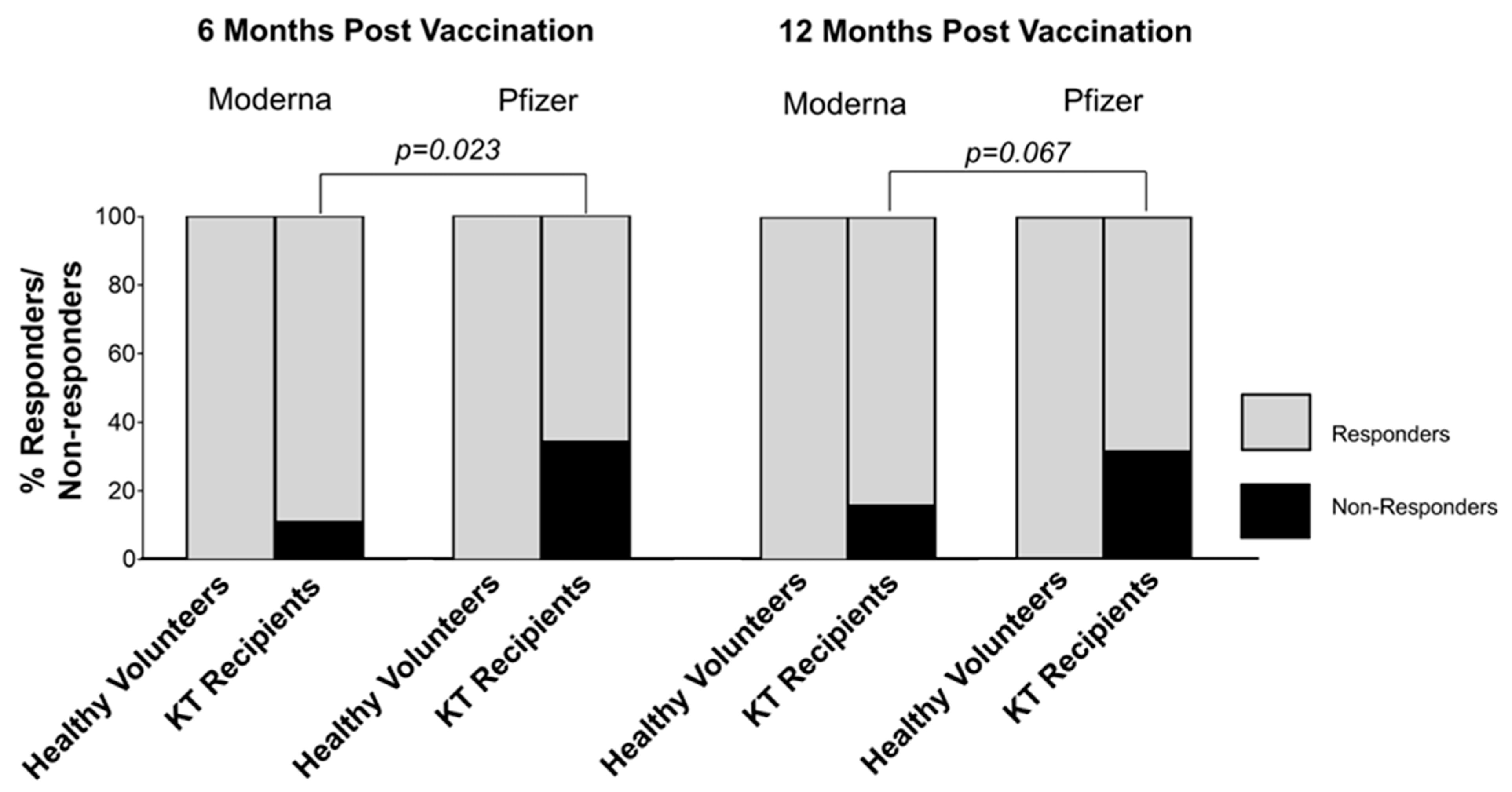 Vaccines 12 00091 g002