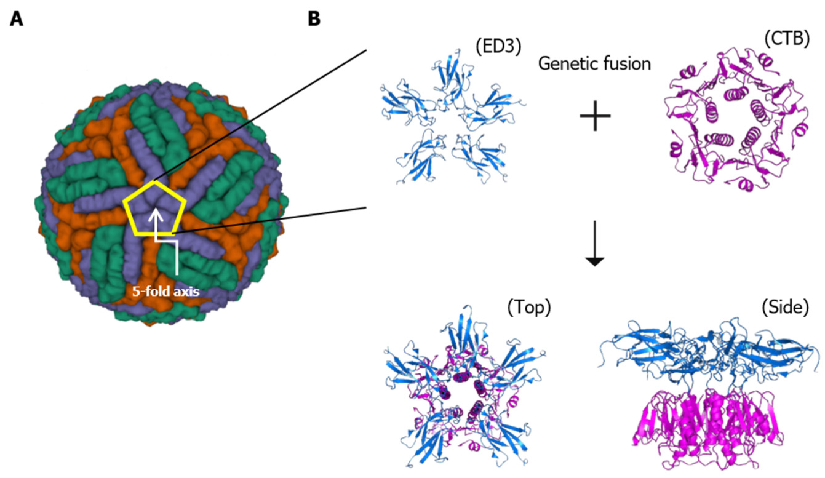 Vaccines 12 00092 g001 Vaccines 12 00092 g001