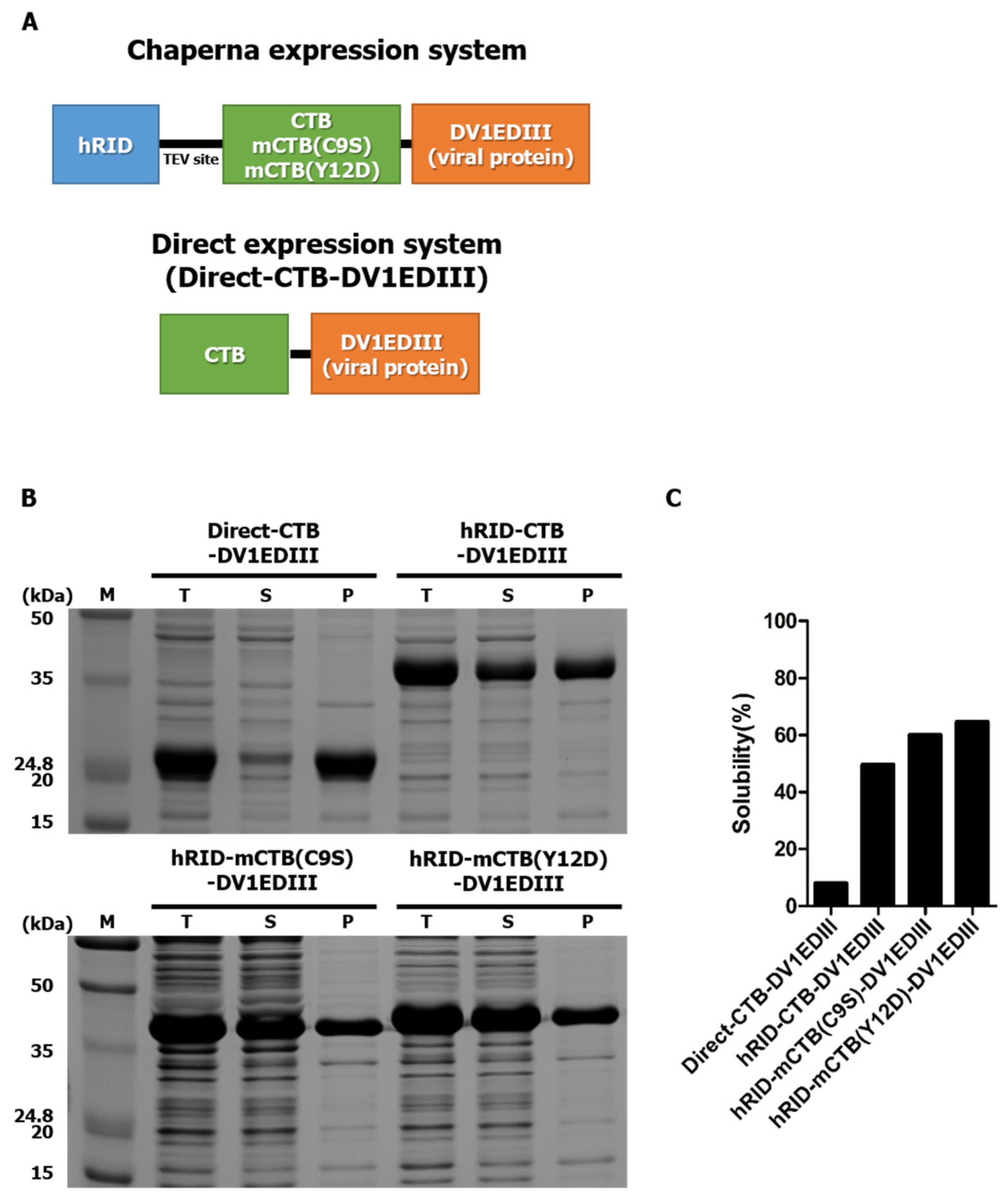 Vaccines 12 00092 g002 Vaccines 12 00092 g002
