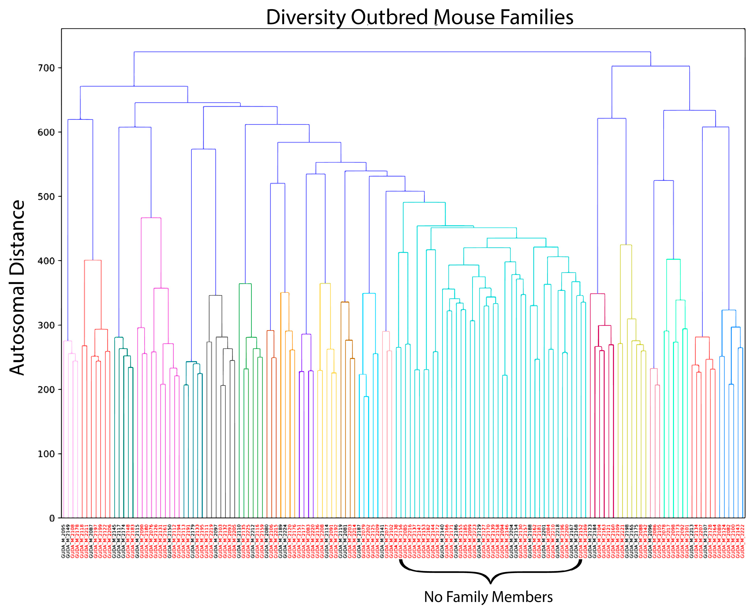 Vaccines 12 00103 g001