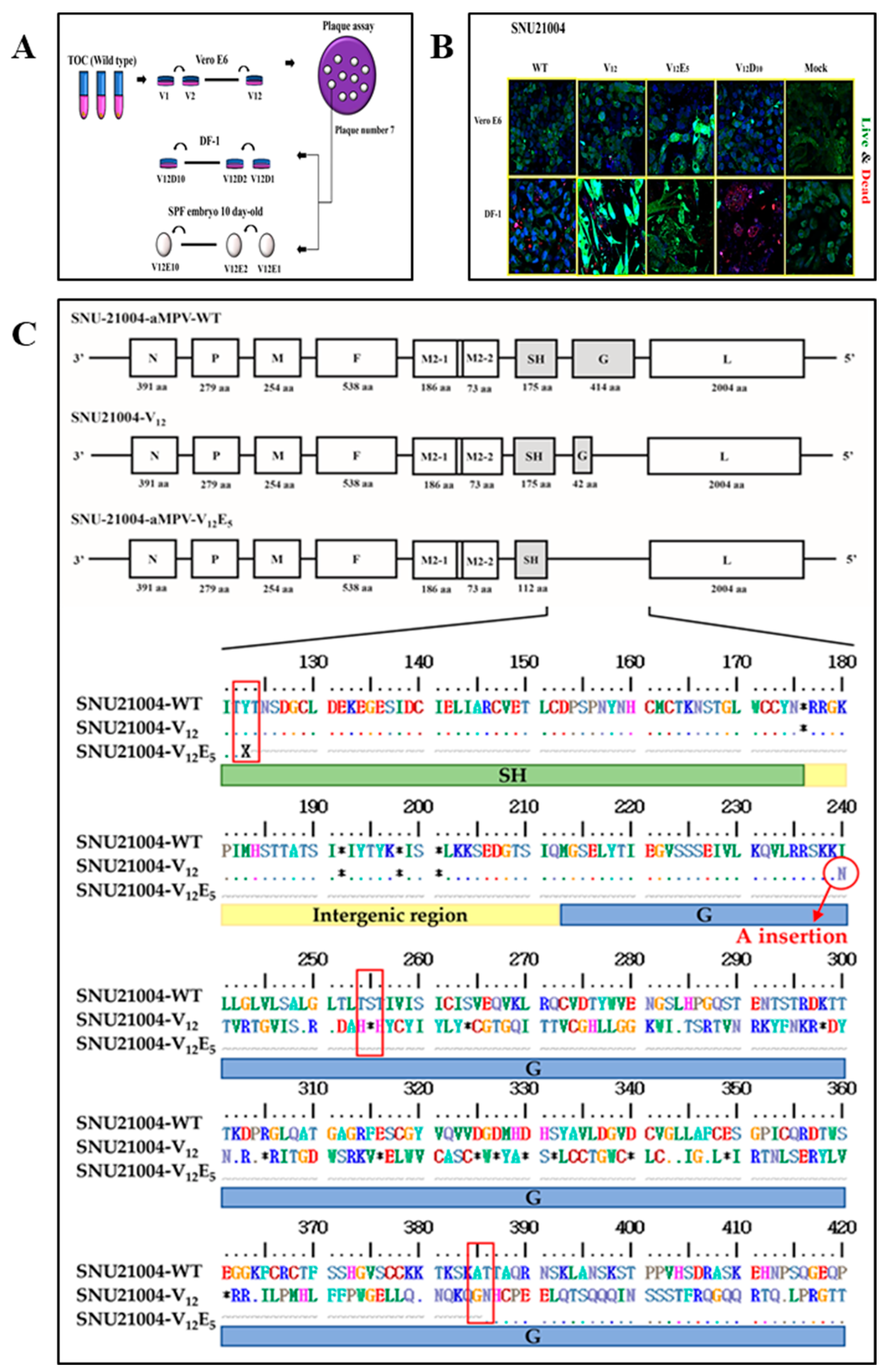 Vaccines 12 00106 g001