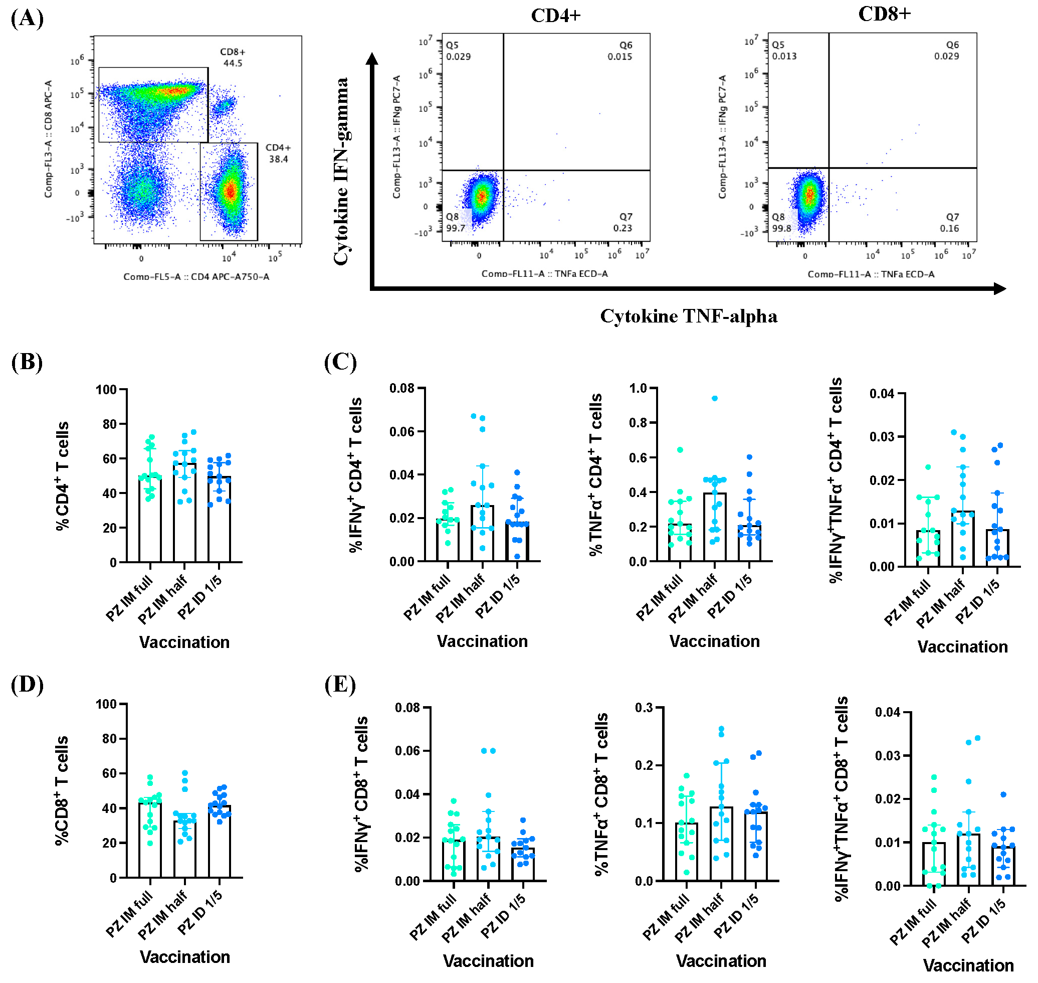 Vaccines 12 00109 g002