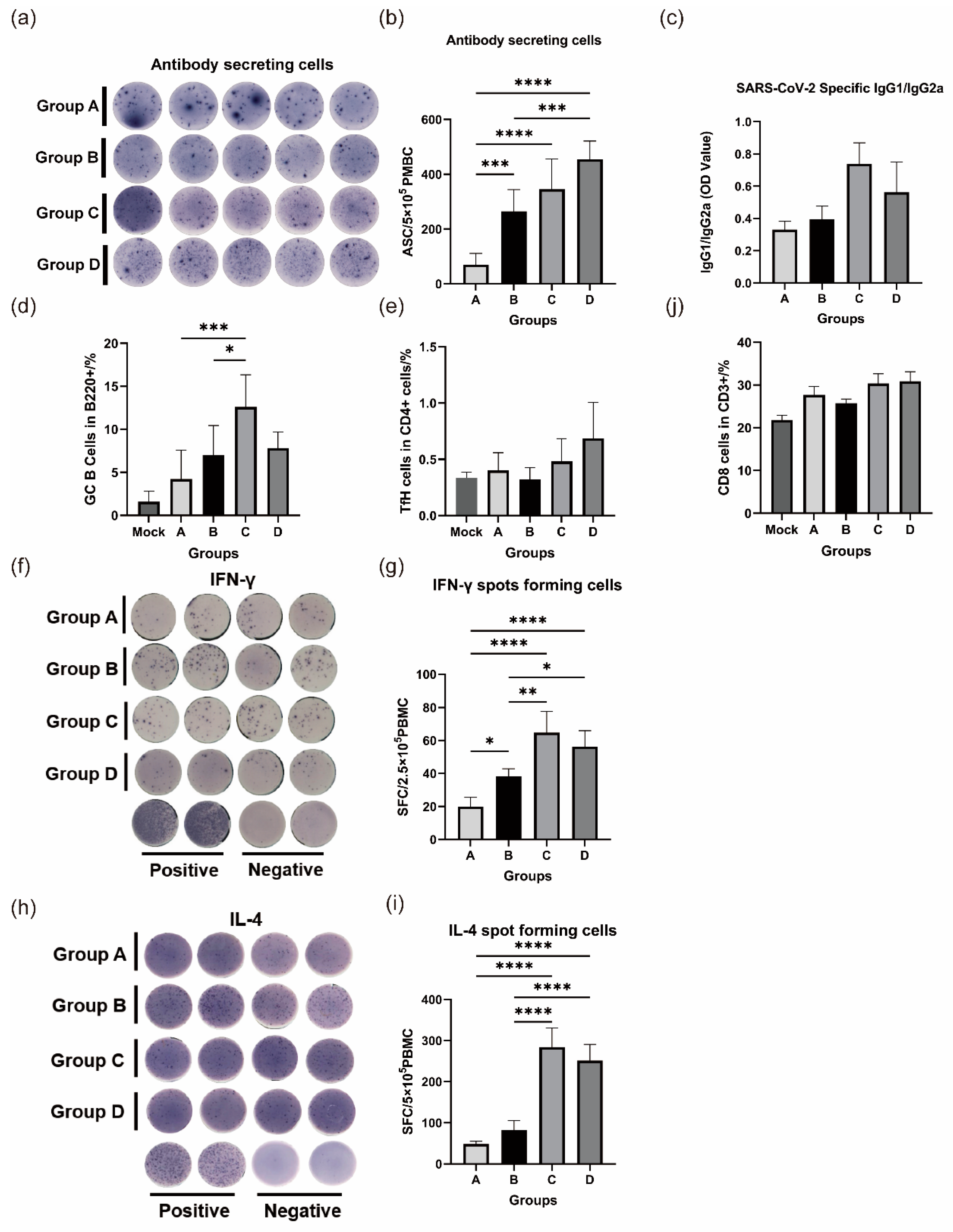 Vaccines 12 00120 g002