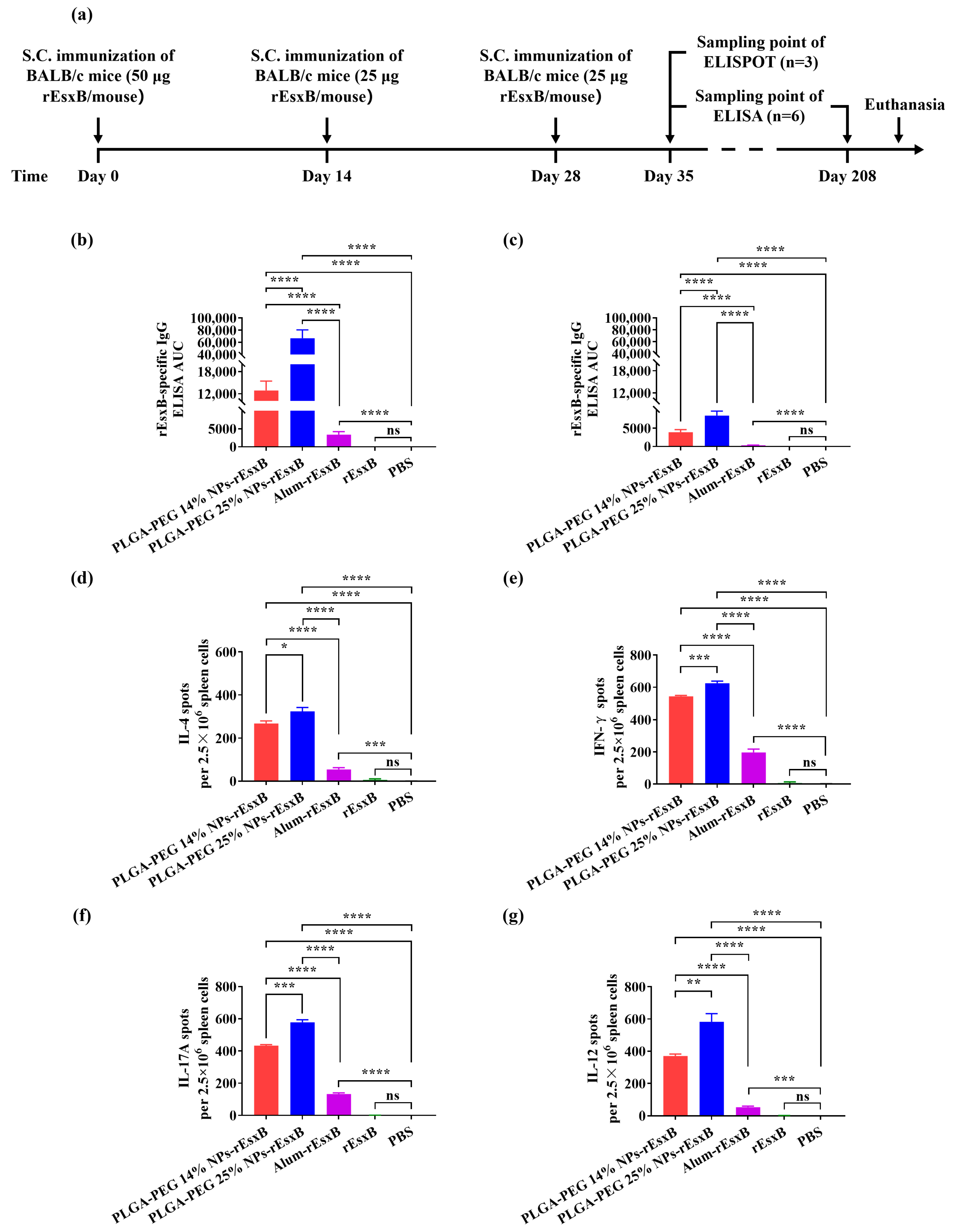 Vaccines 12 00125 g002