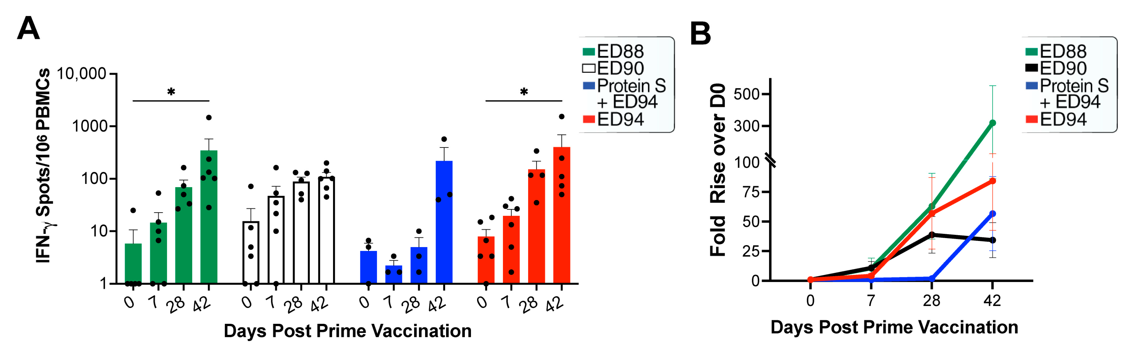 Vaccines 12 00132 g004