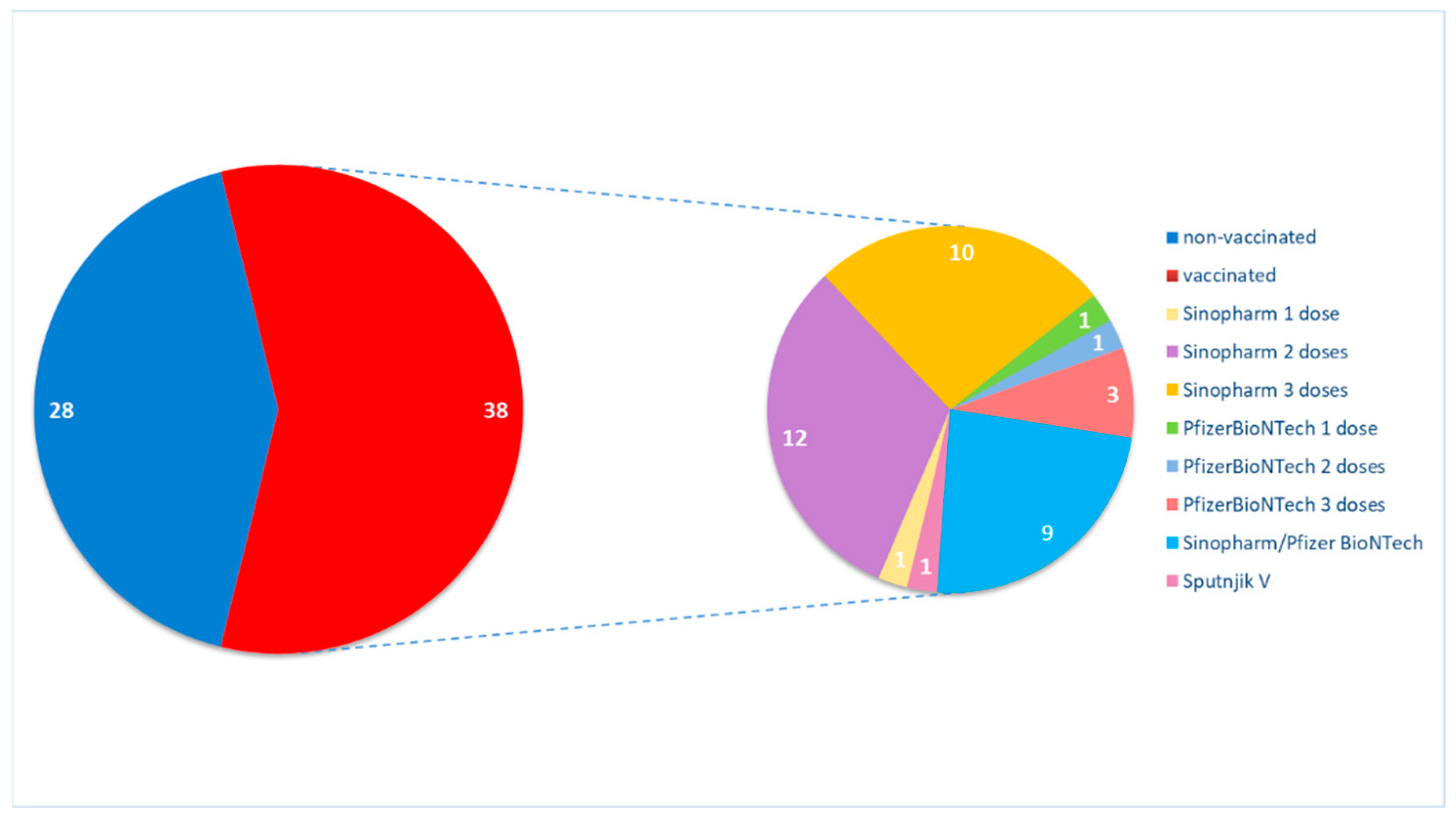 Vaccines 12 00135 g001