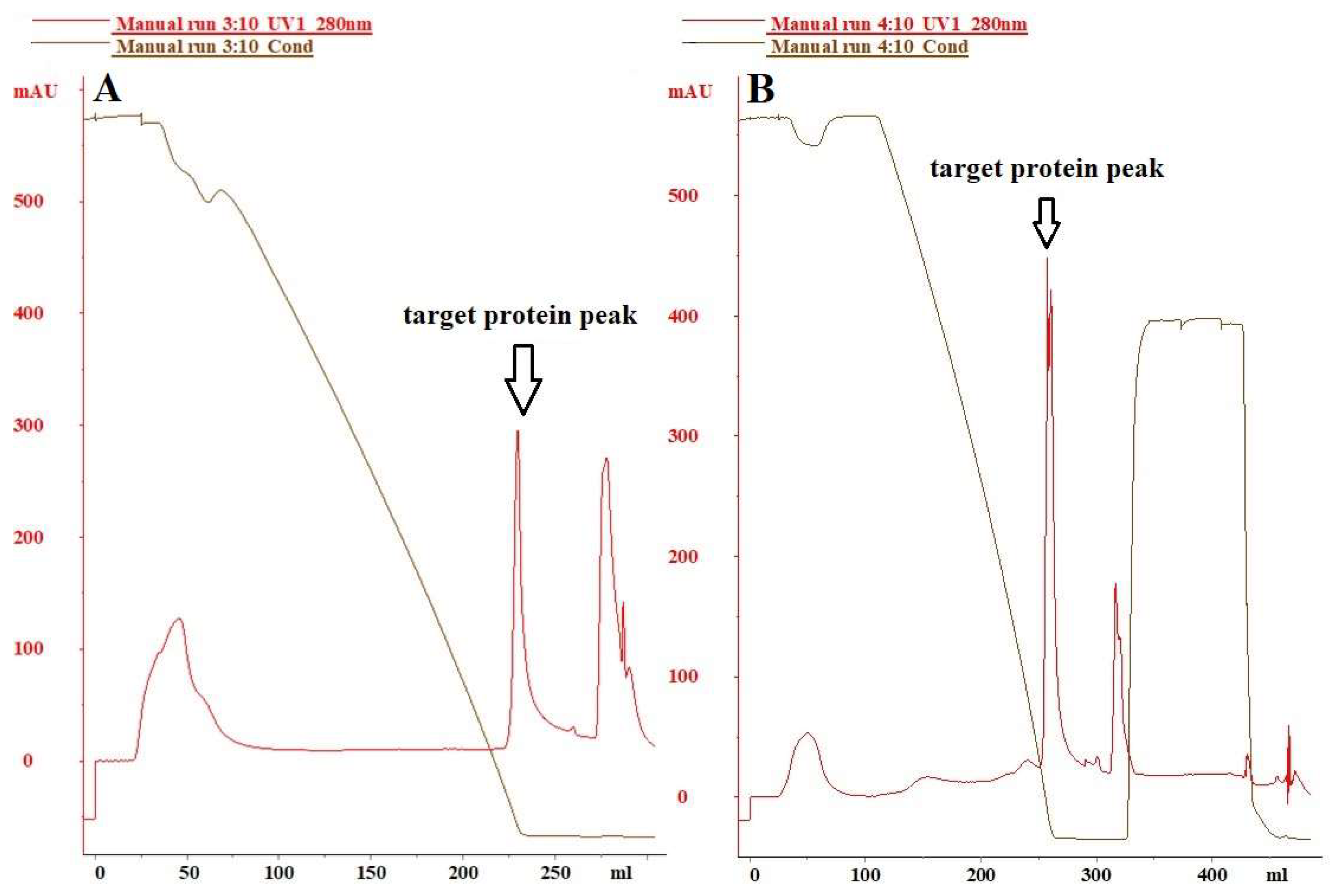 Vaccines 12 00138 g004