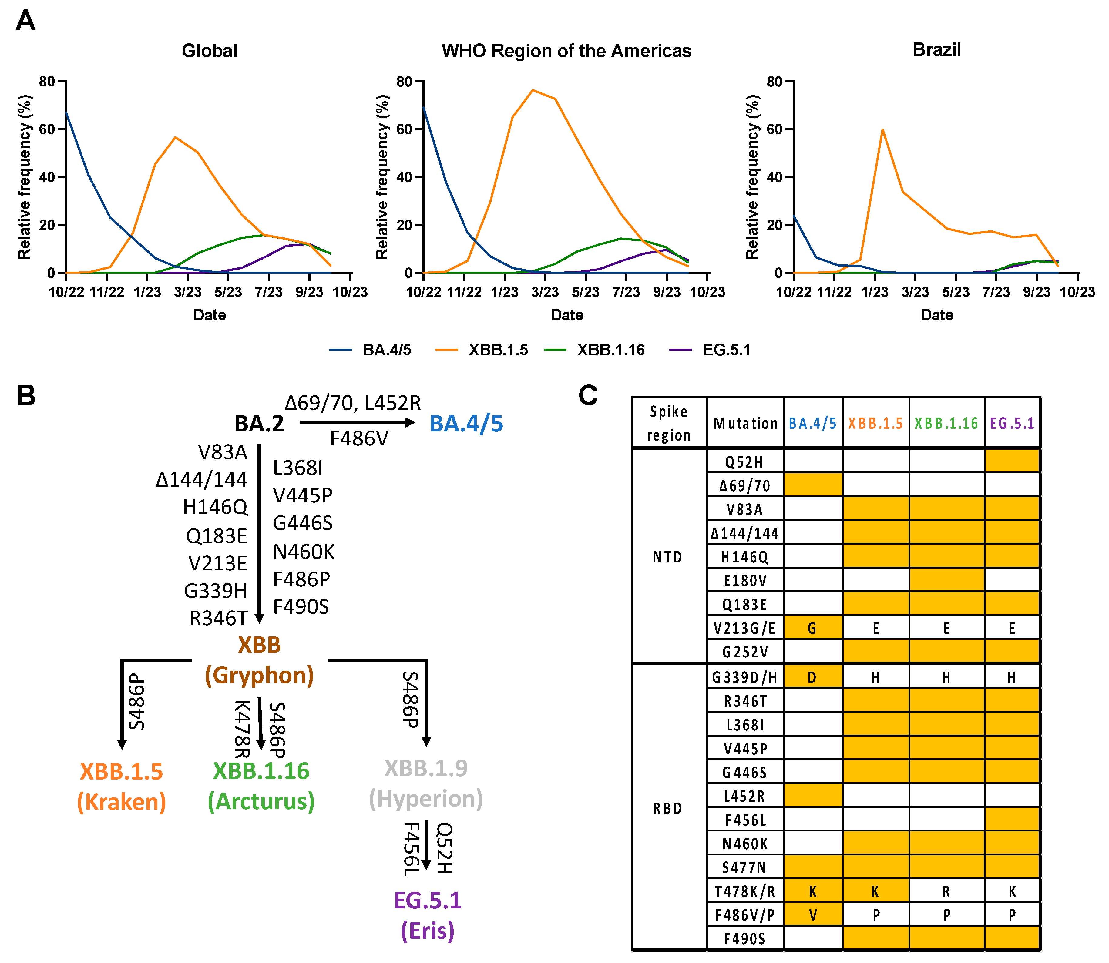 Vaccines 12 00144 g001