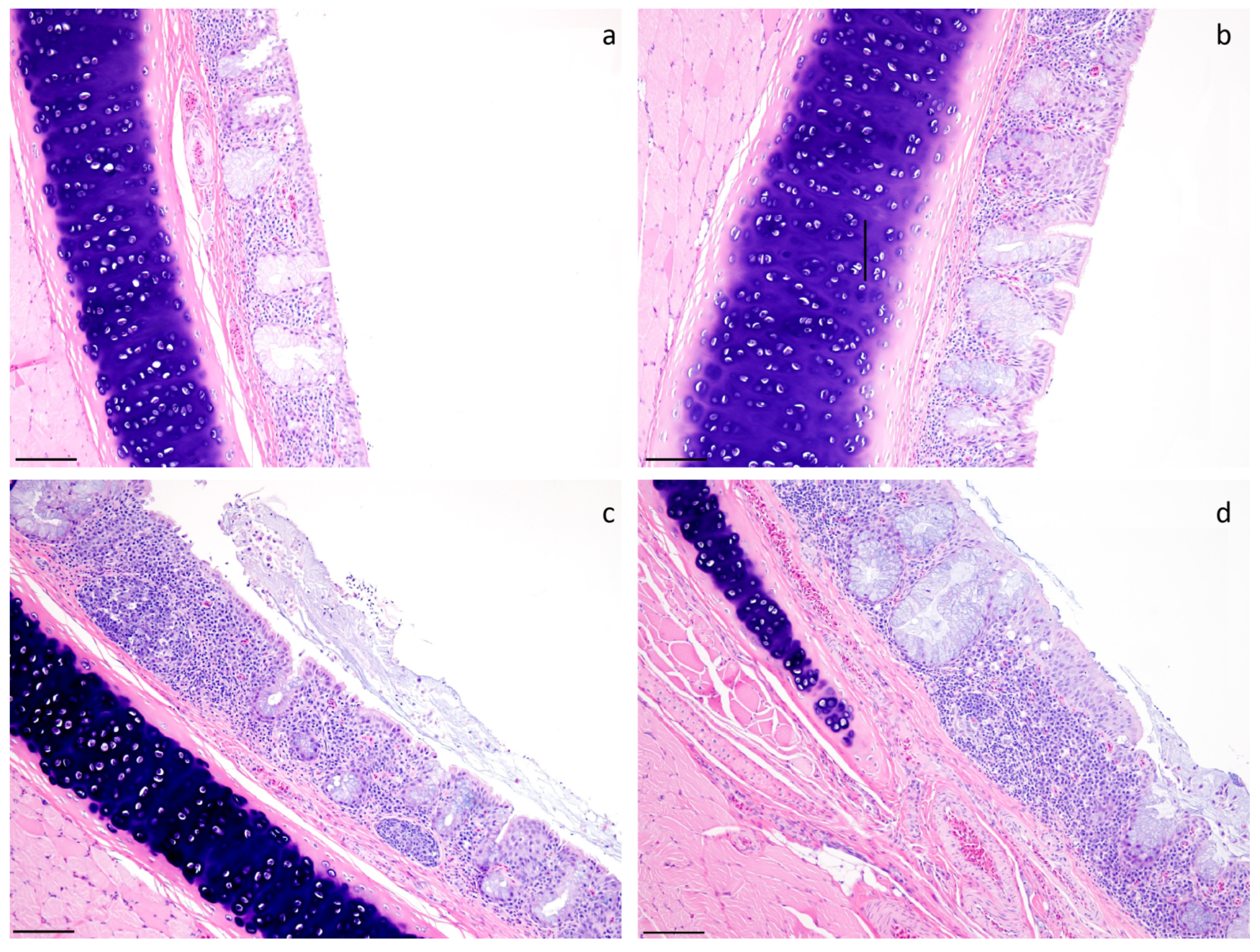 Vaccines 12 00147 g001