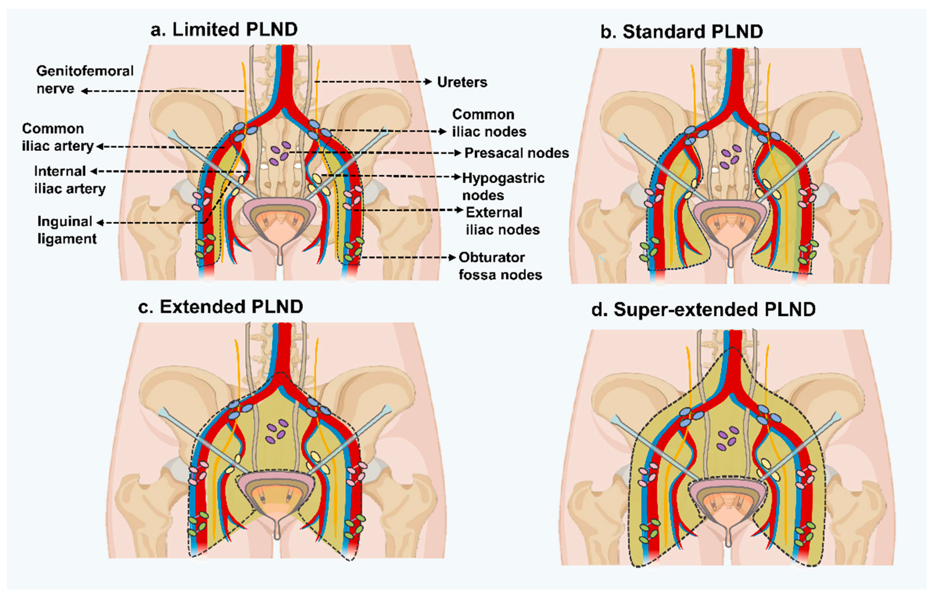 Vaccines 12 00150 g002 Vaccines 12 00150 g002