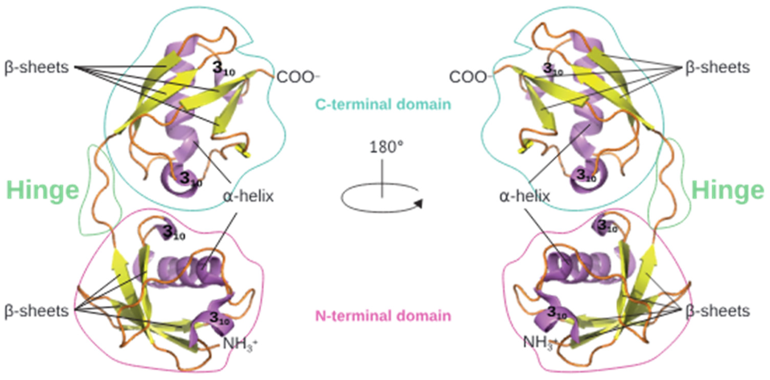 Vaccines 12 00153 g001
