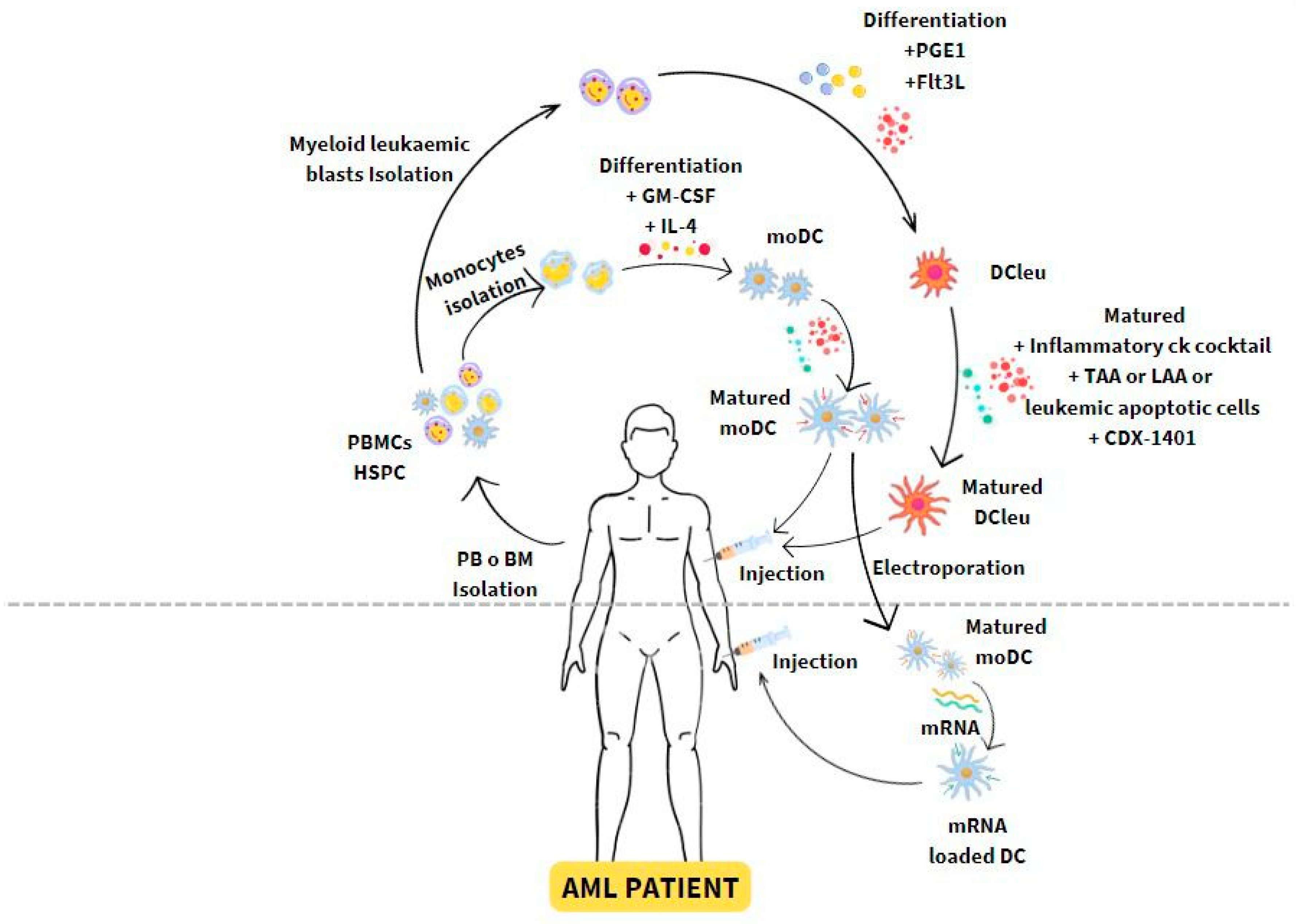 Vaccines 12 00165 g002