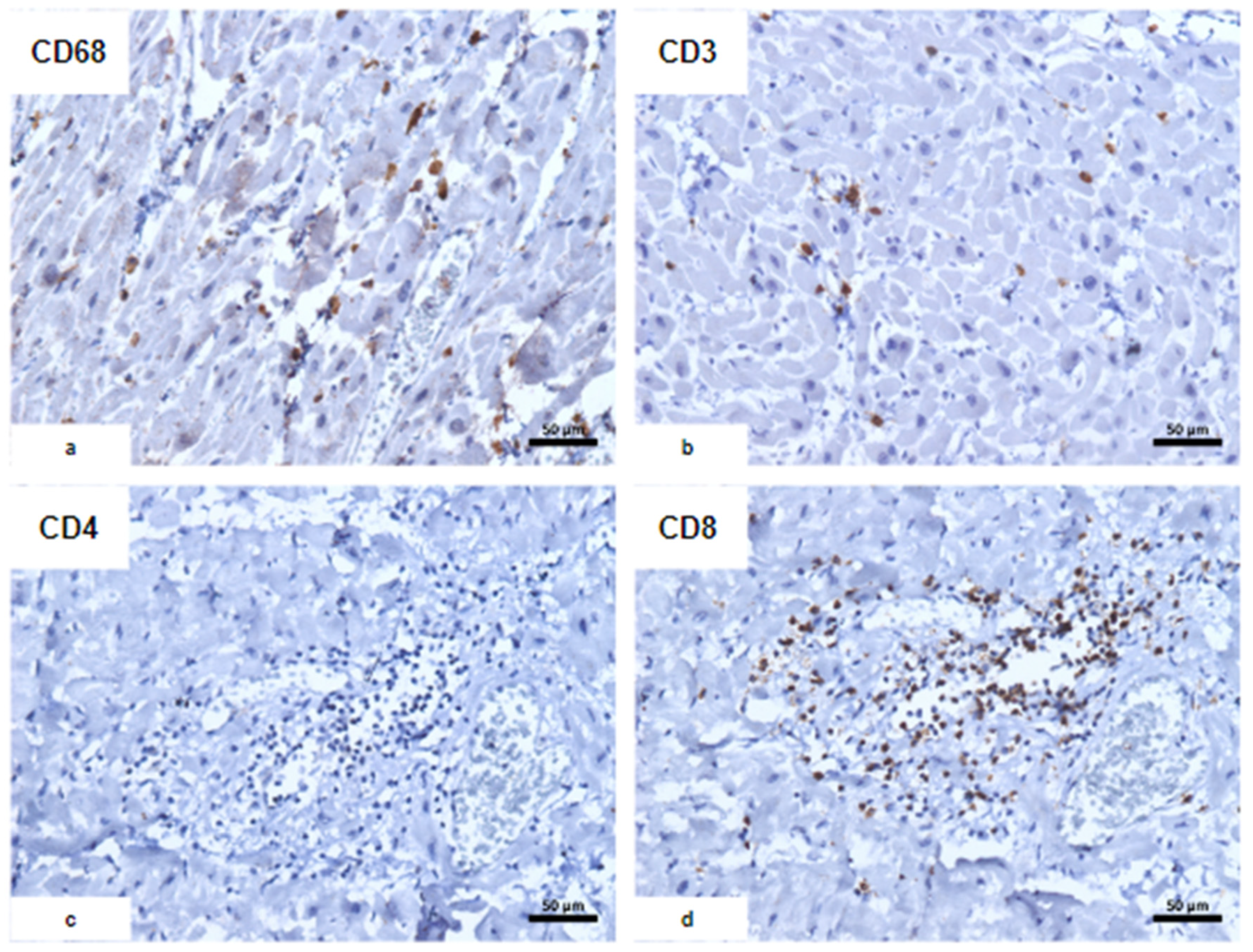 Vaccines 12 00194 g003