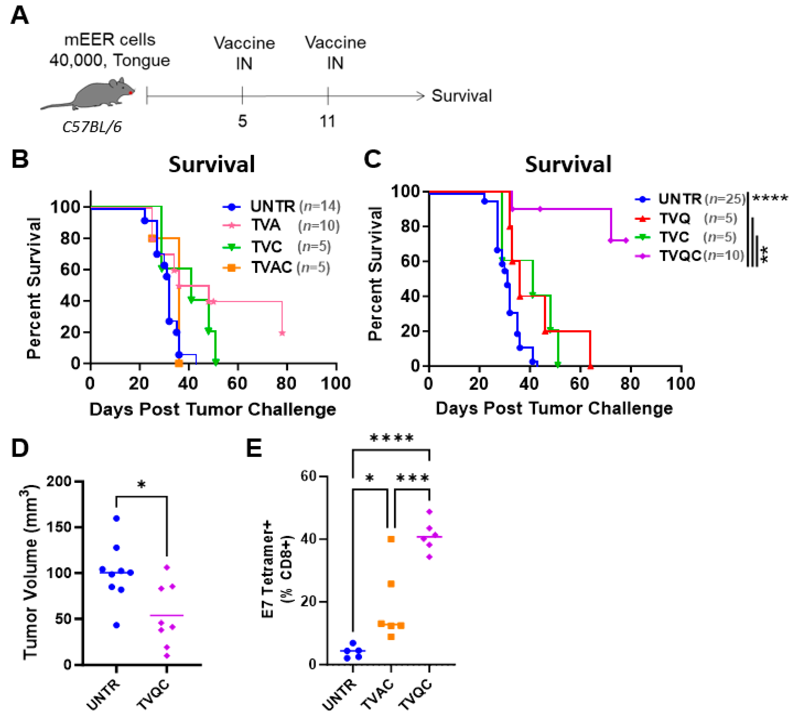 Vaccines 12 00206 g001 Vaccines 12 00206 g001