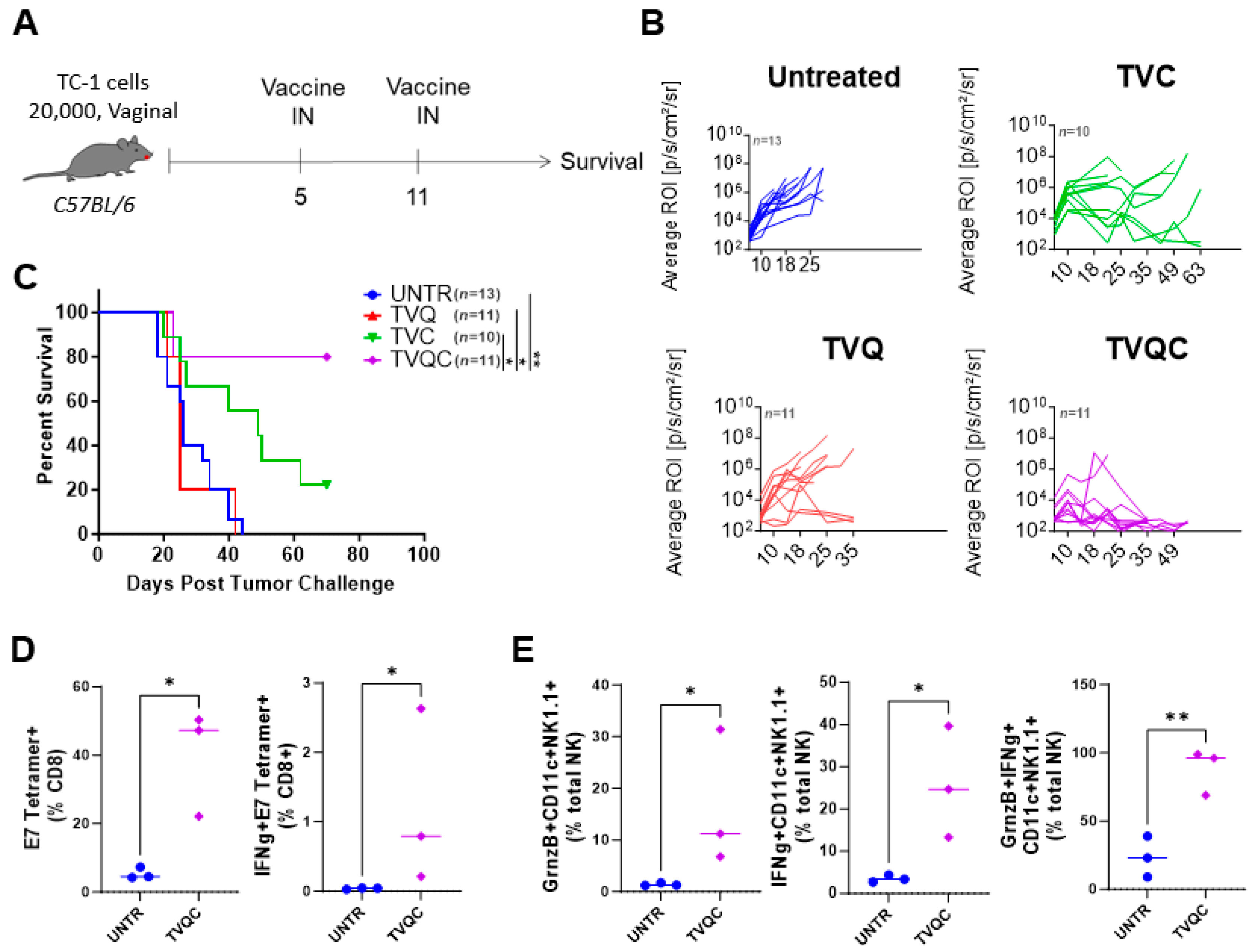 Vaccines 12 00206 g003 Vaccines 12 00206 g003
